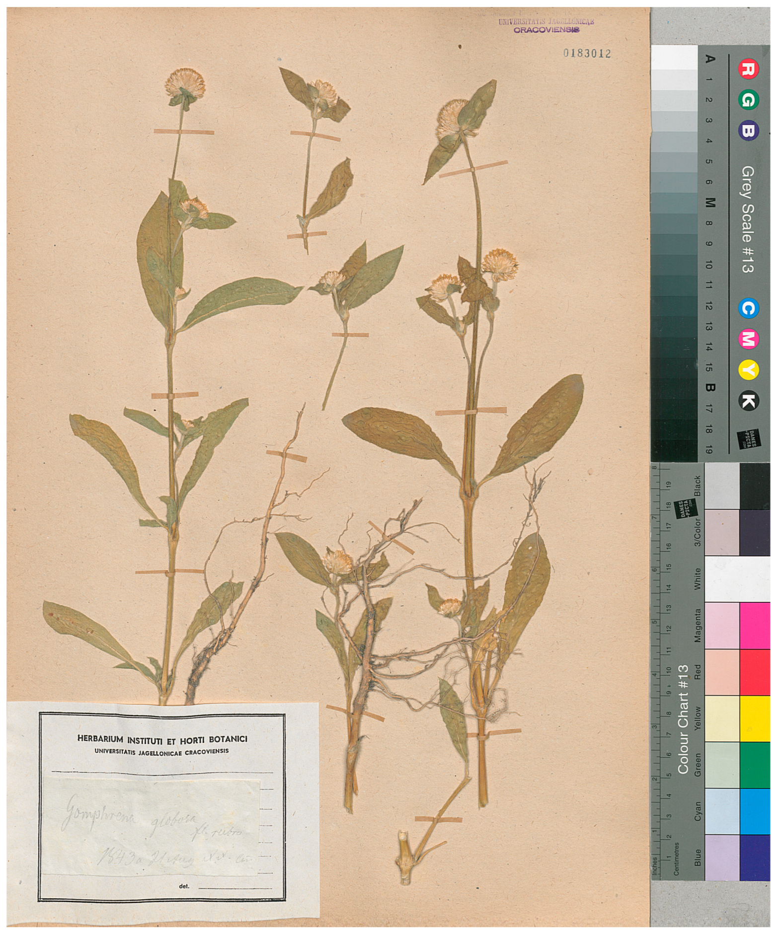 Biology 13 00435 g004