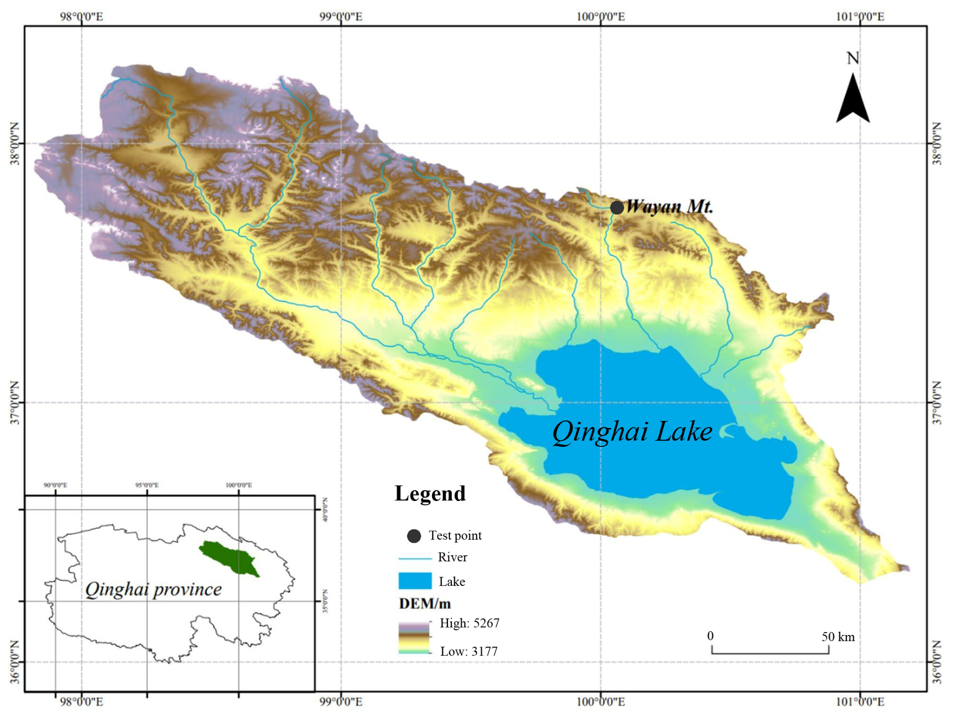 Biology 13 00437 g001