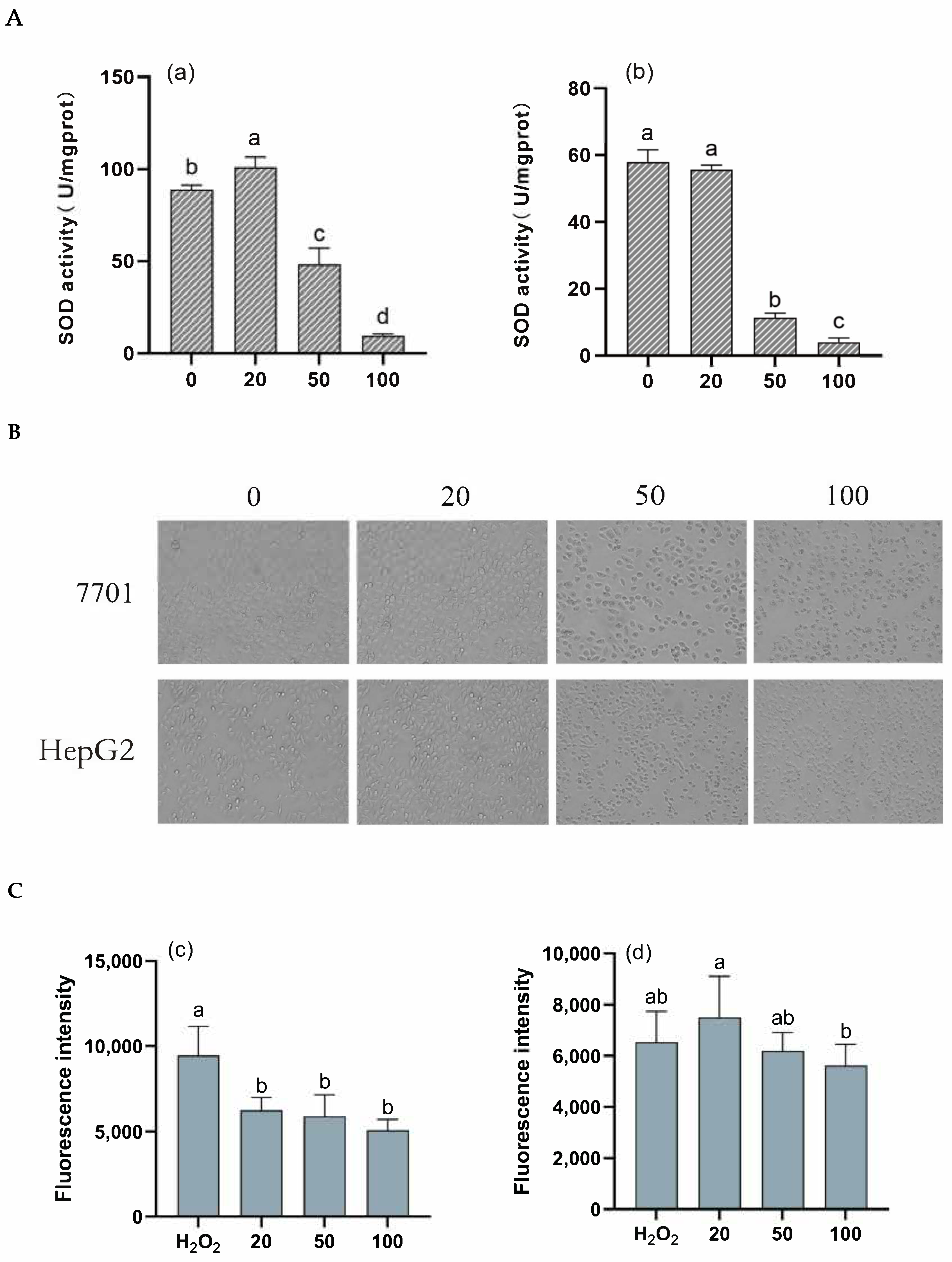 Biology 13 00438 g005a