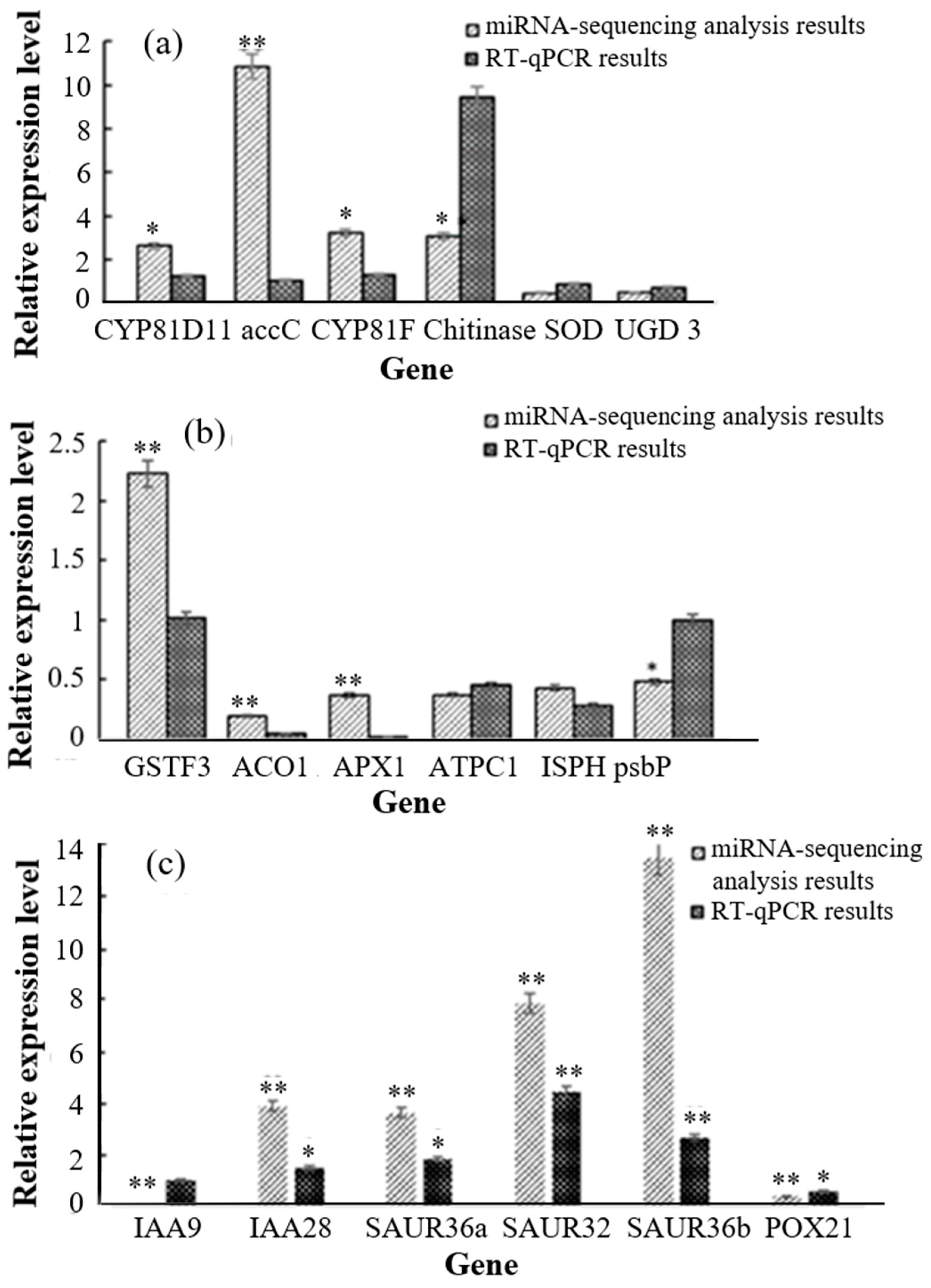Biology 13 00441 g004