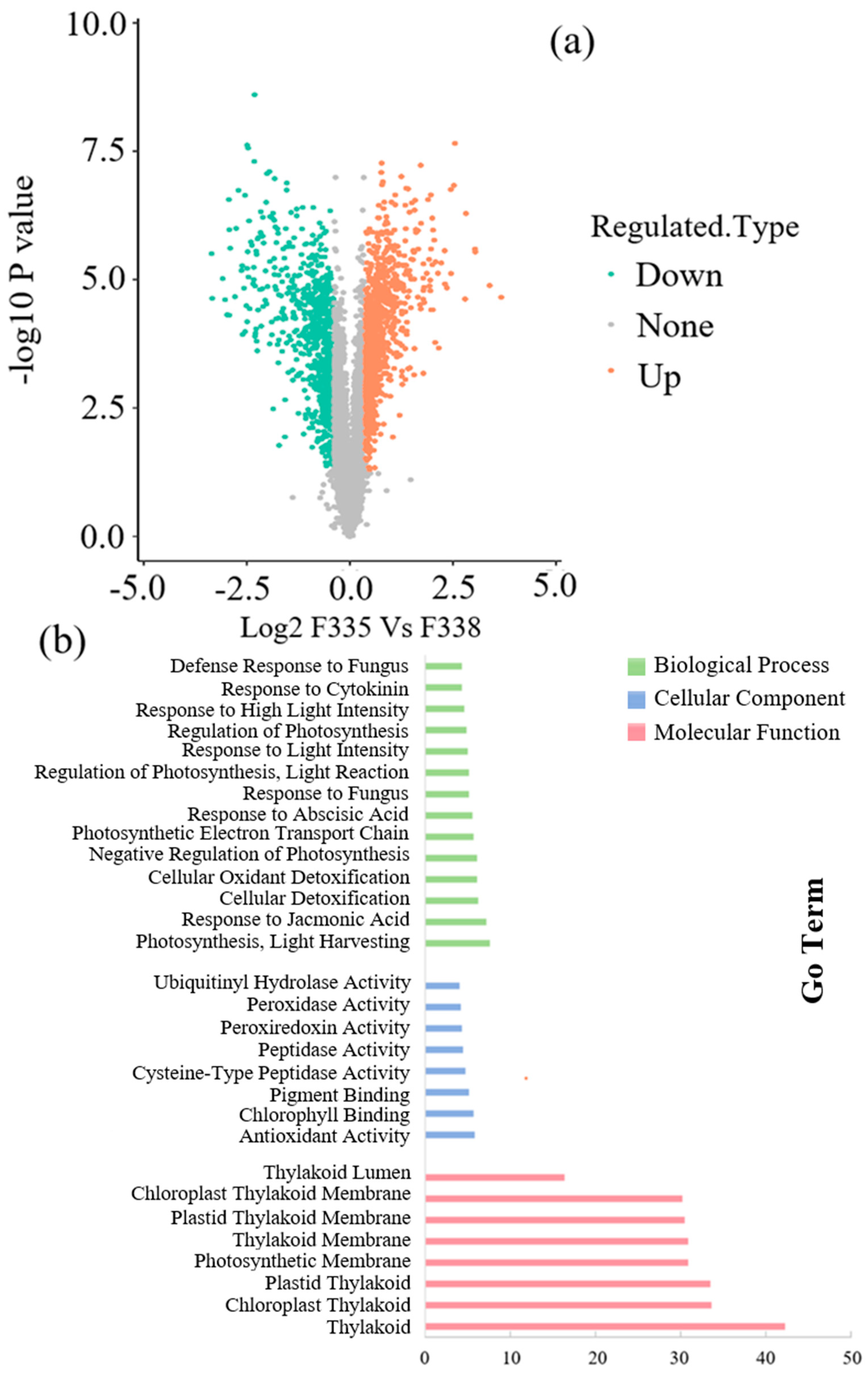 Biology 13 00441 g005
