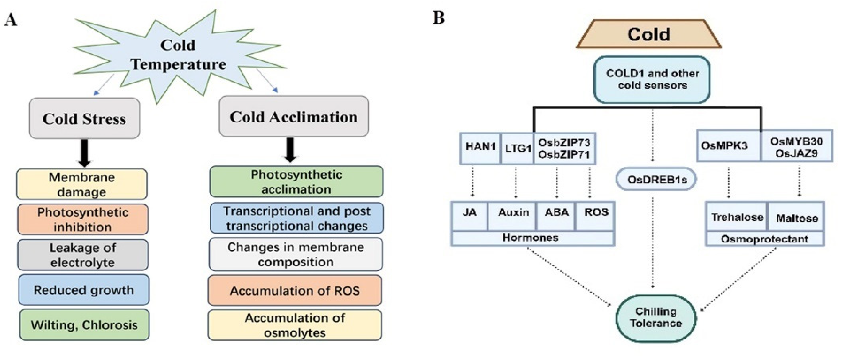 Biology 13 00442 g001