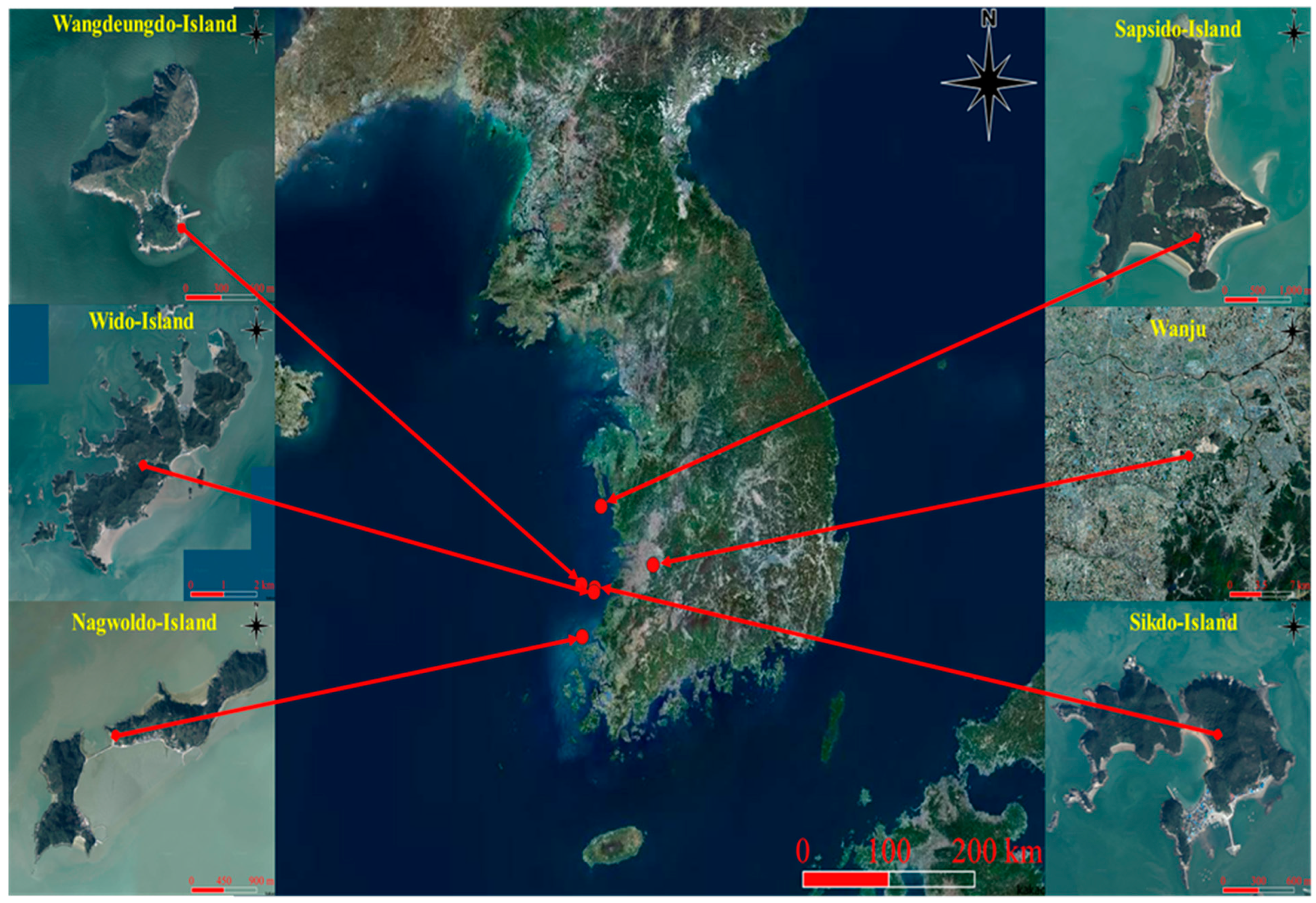 Biology 13 00444 g001