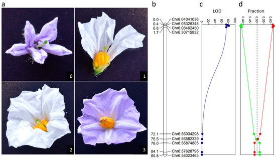 Biology 13 00447 g001