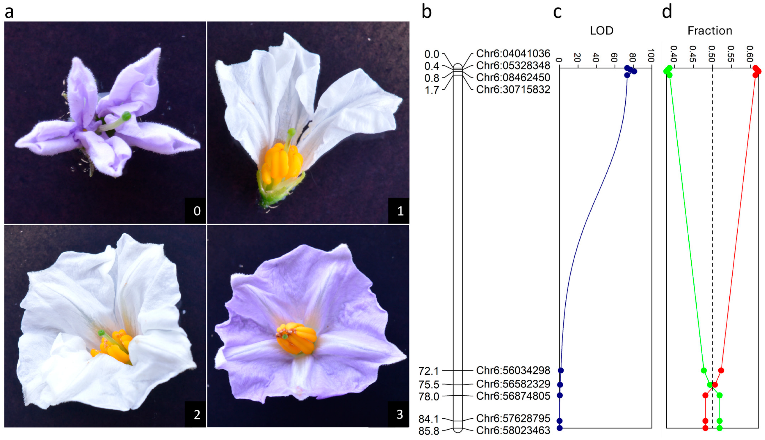 Biology 13 00447 g001