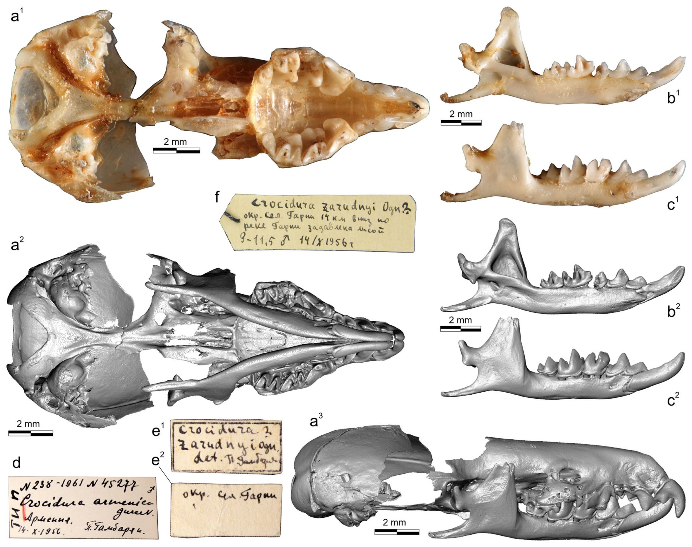 Biology 13 00448 g001