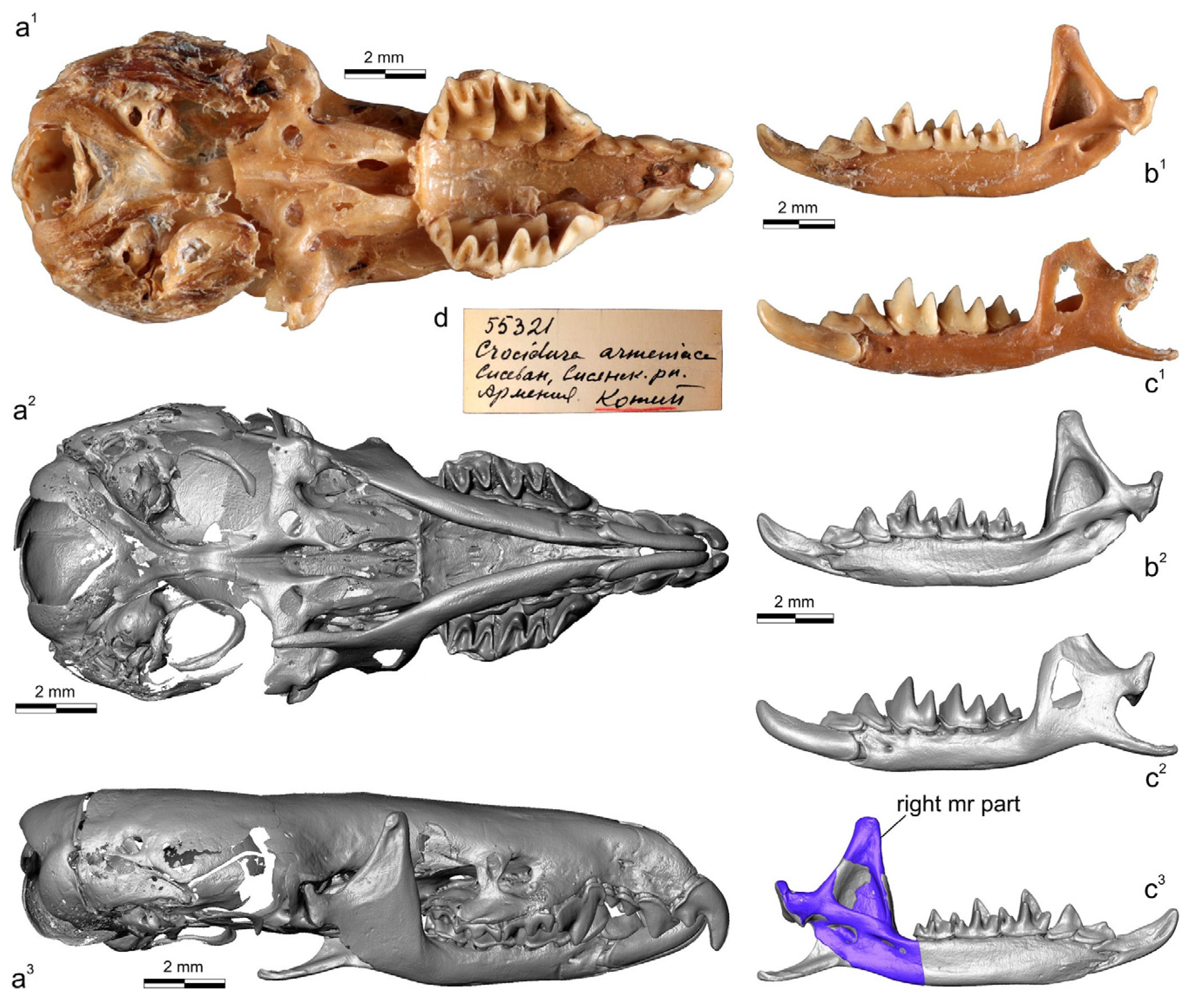 Biology 13 00448 g002