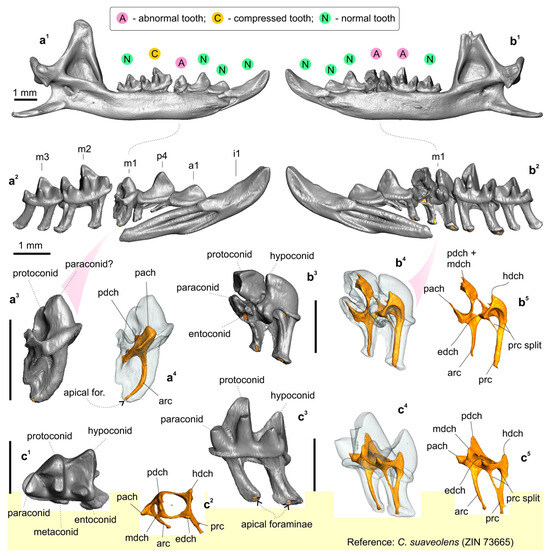 Biology 13 00448 g005
