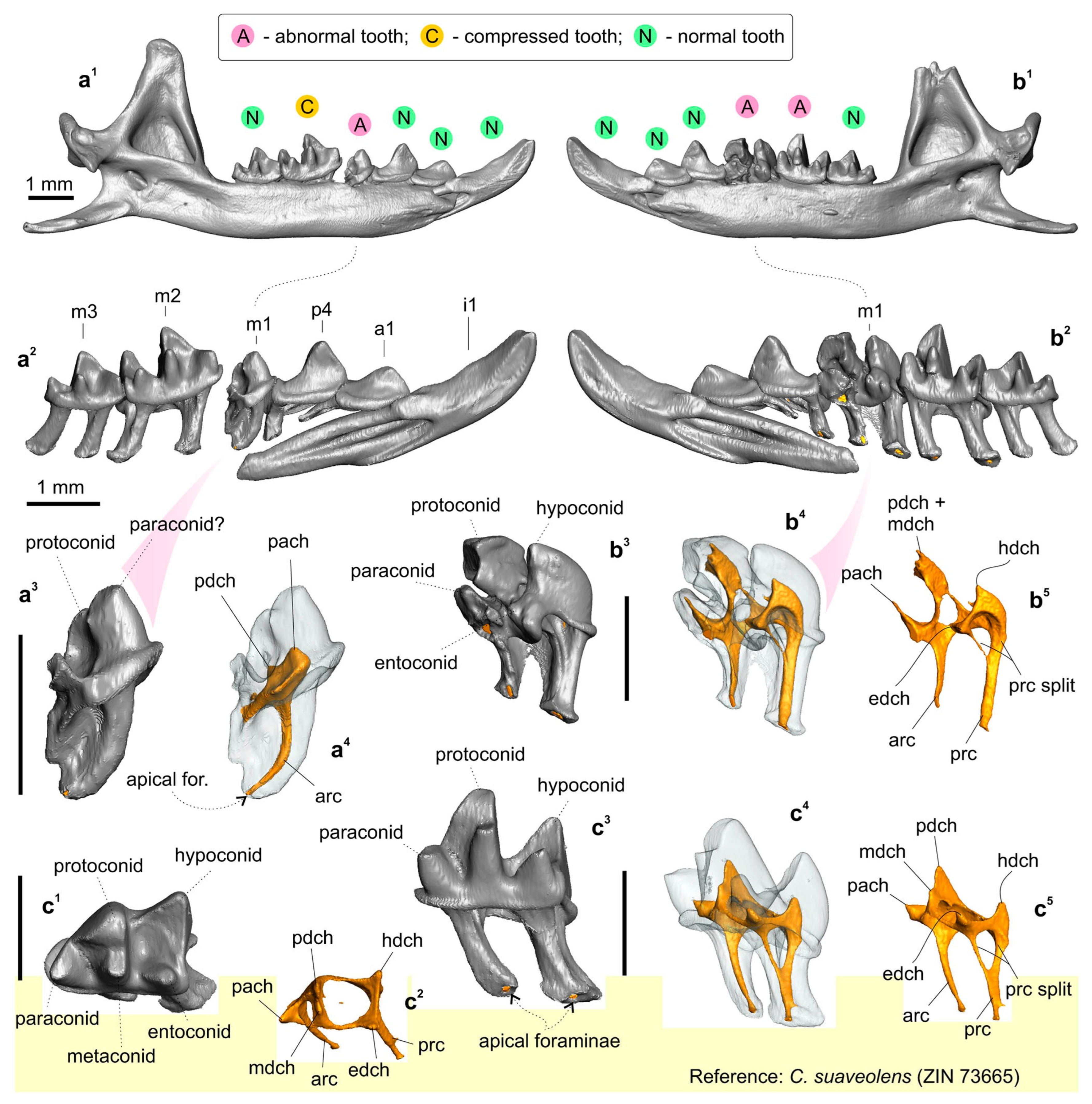 Biology 13 00448 g005