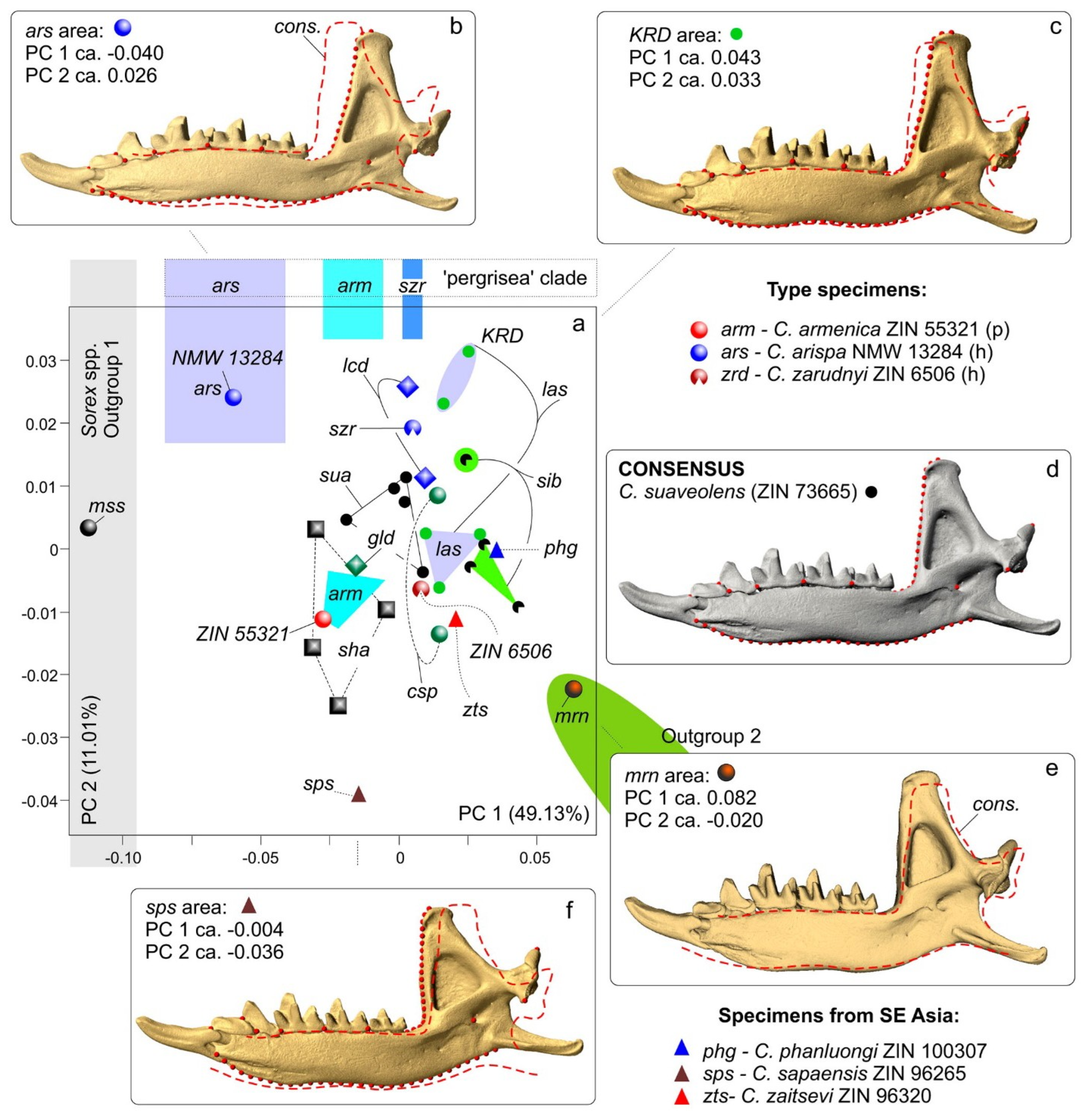 Biology 13 00448 g008