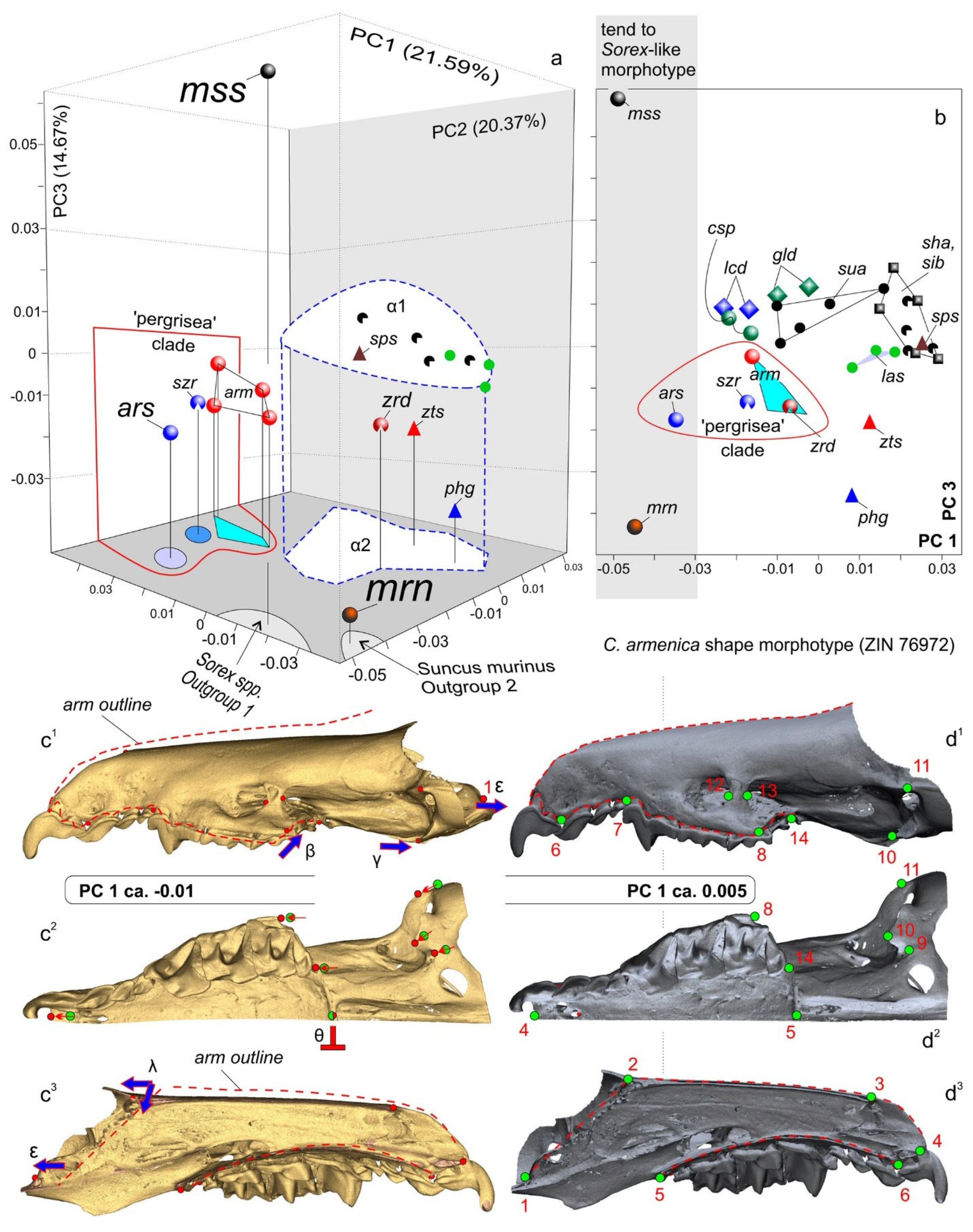 Biology 13 00448 g009