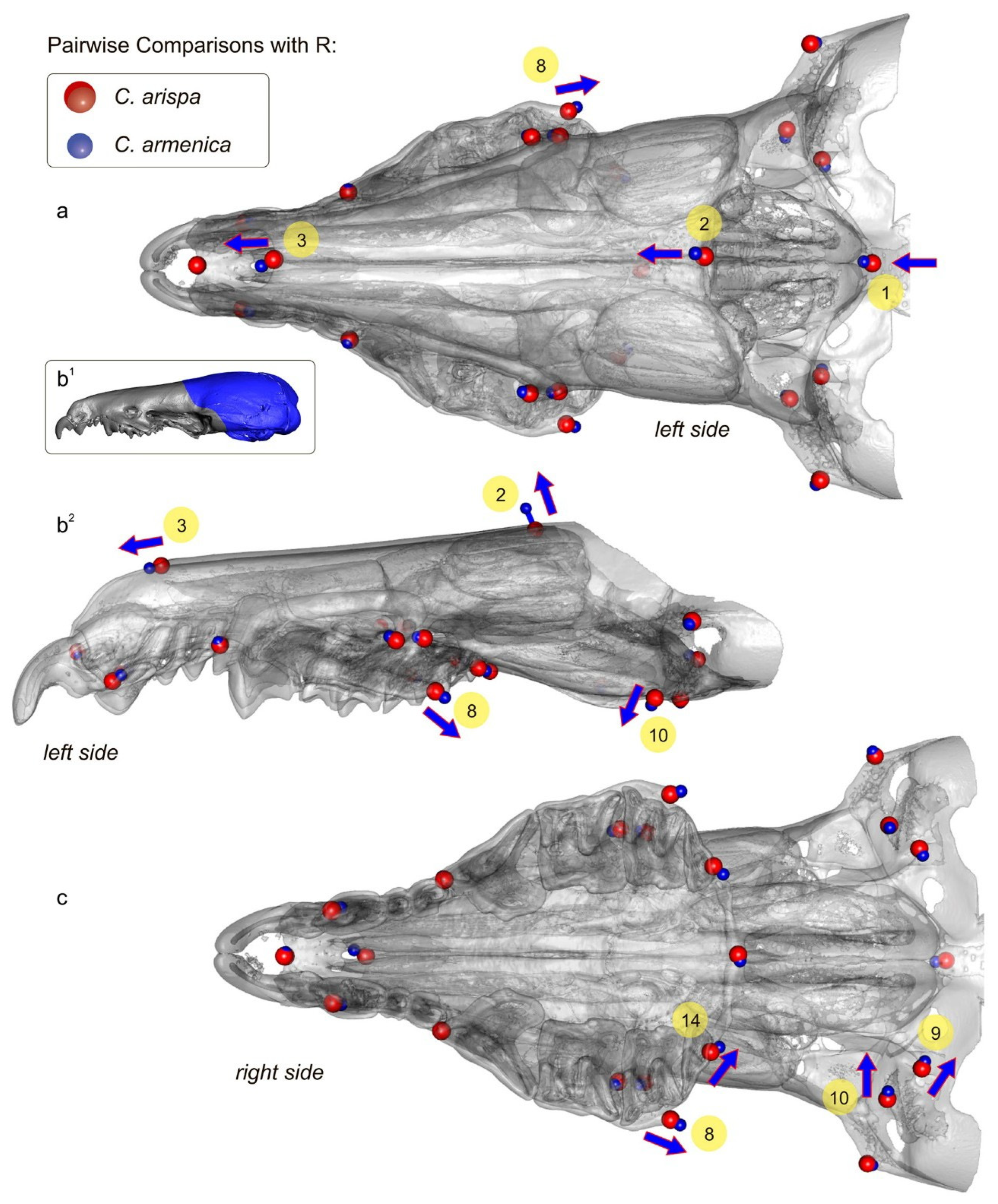 Biology 13 00448 g010