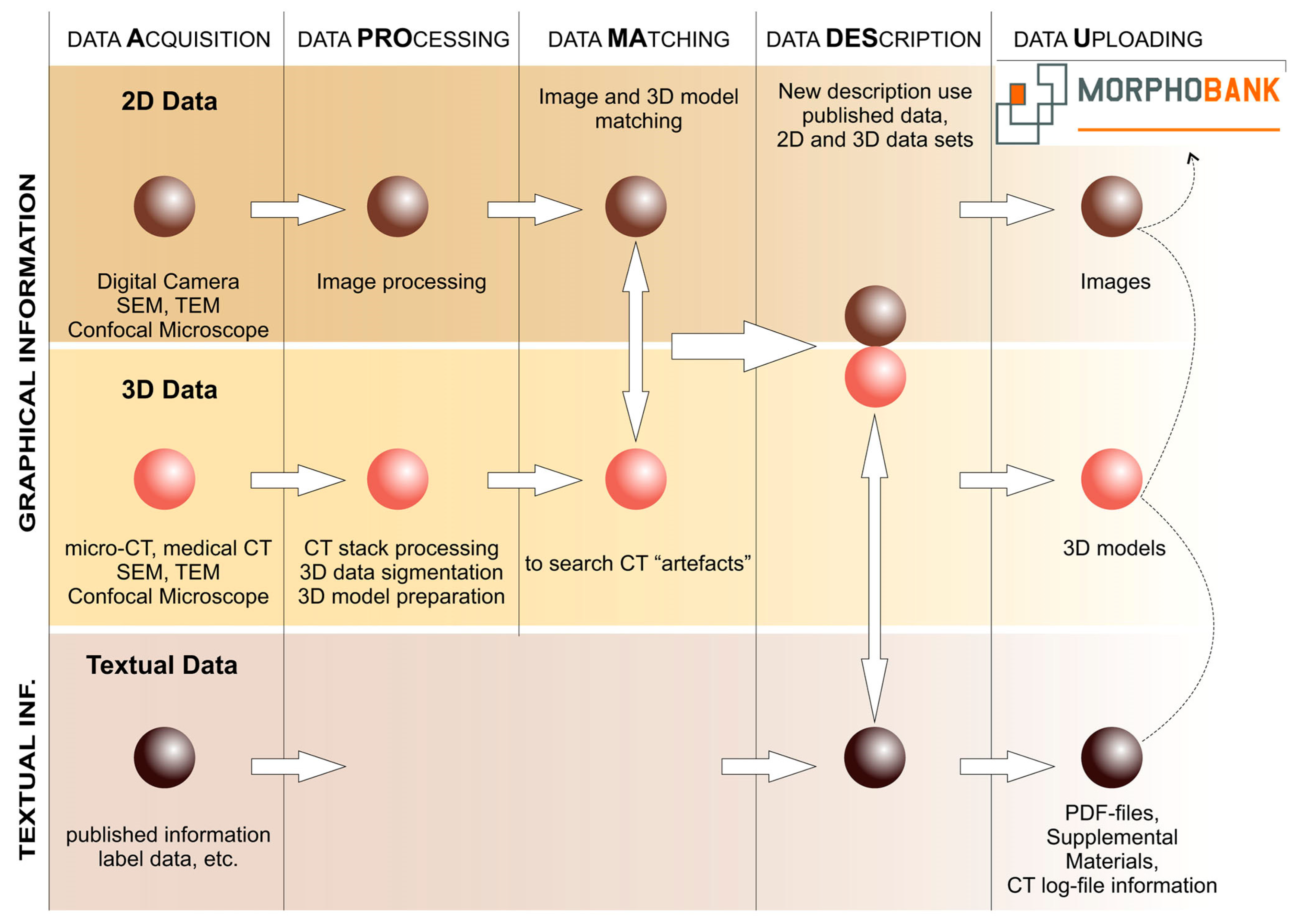 Biology 13 00448 g012