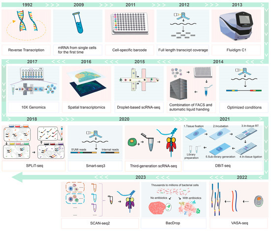 Biology 13 00451 g001