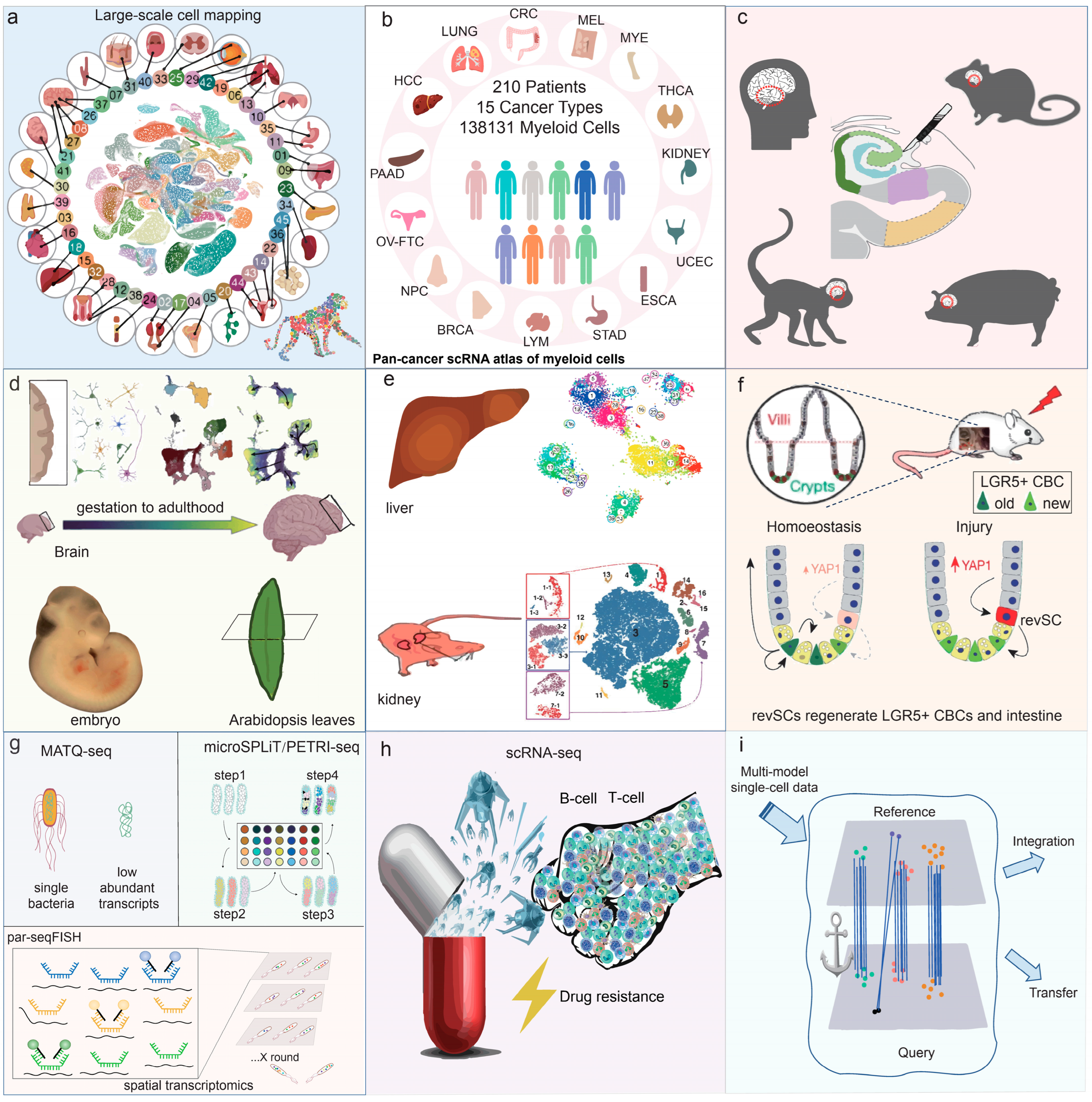 Biology 13 00451 g003