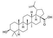 Biology 13 00456 i008