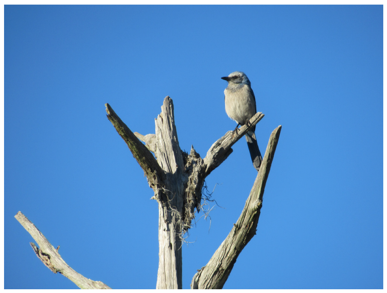 Biology 13 00458 g001