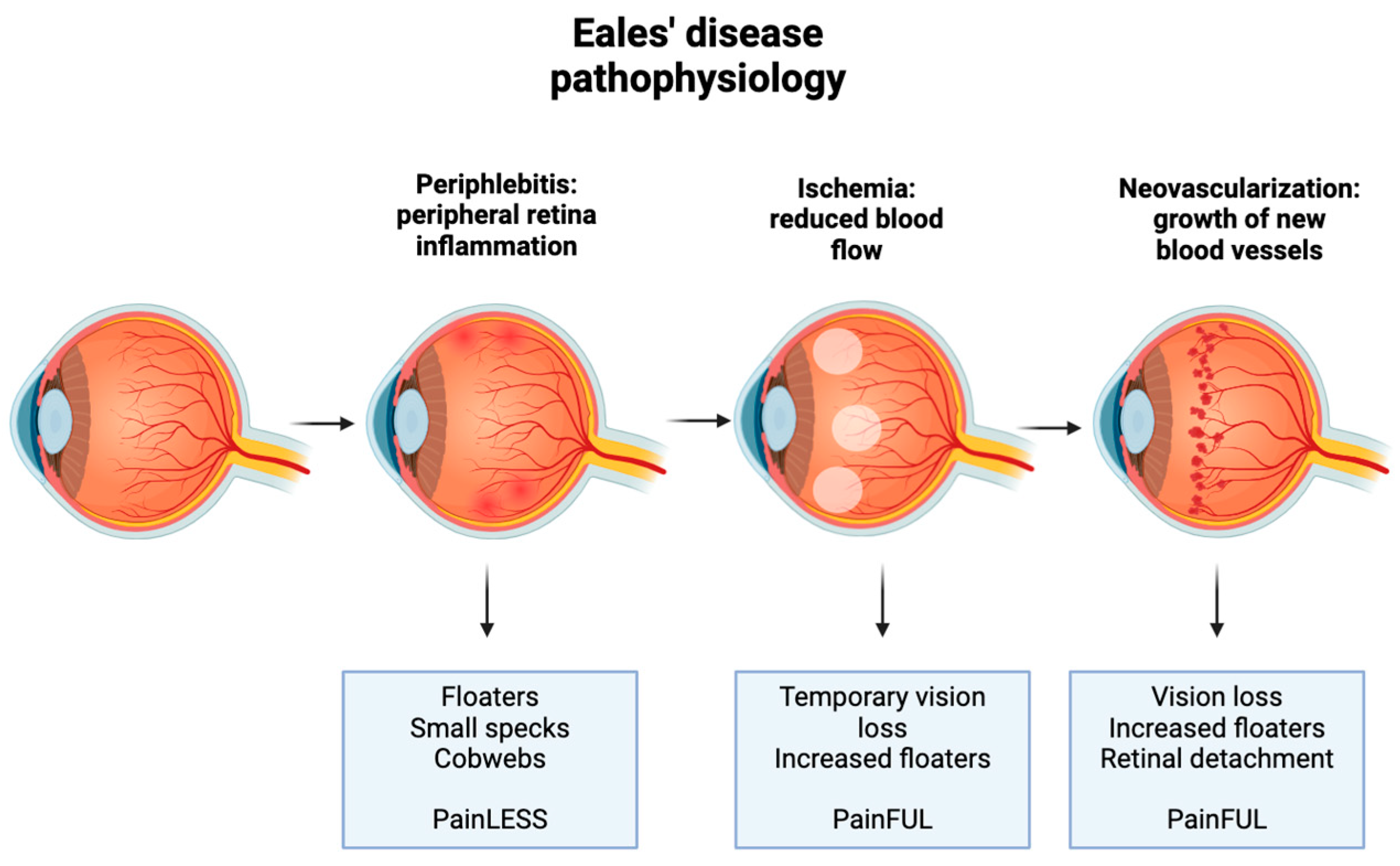 Biology 13 00460 g002 Biology 13 00460 g002