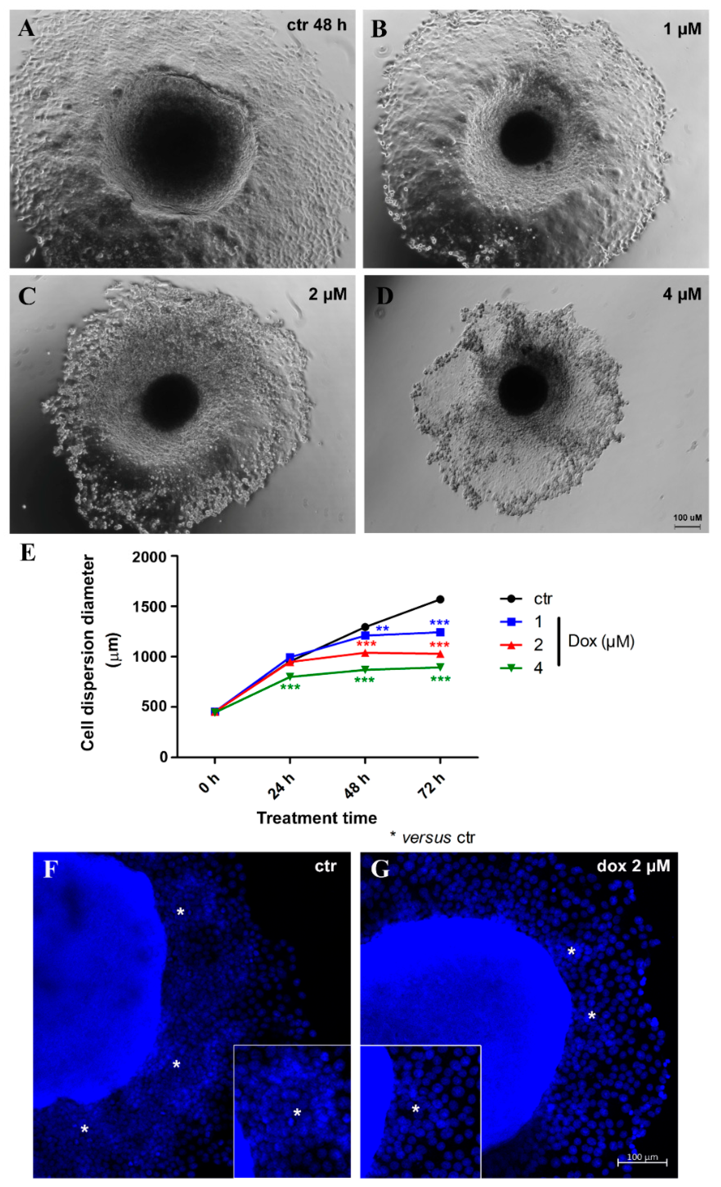 Biology 13 00463 g007