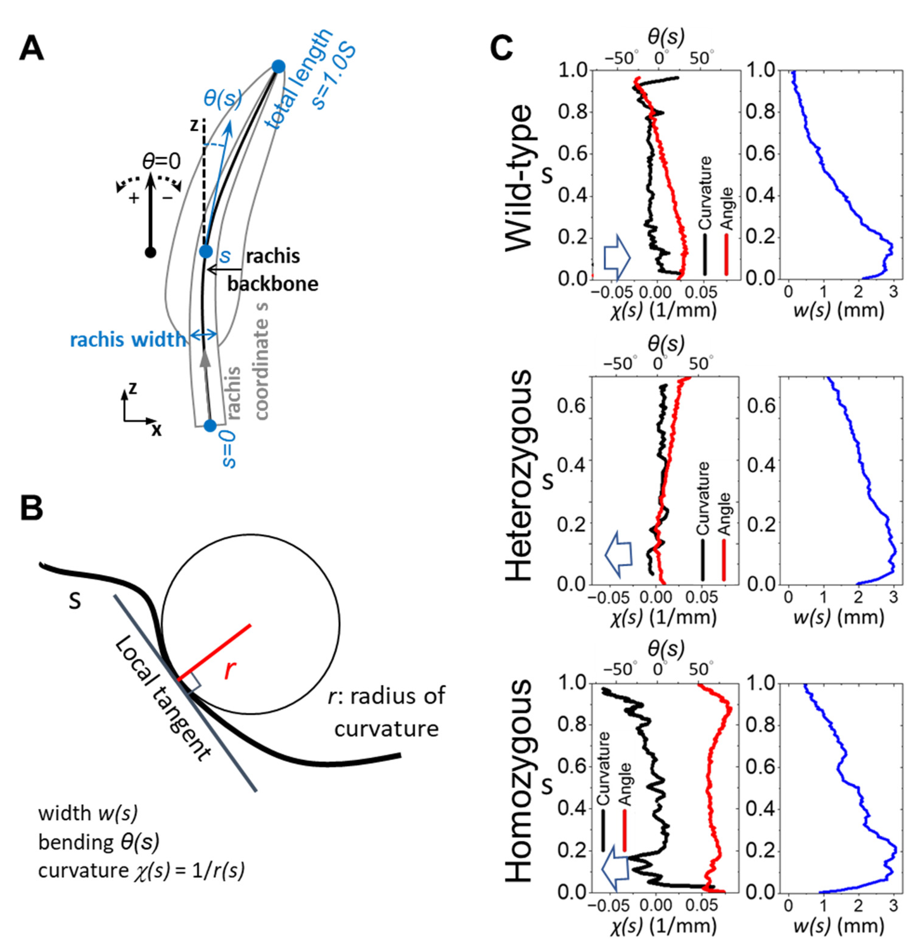 Biology 13 00464 g002 Biology 13 00464 g002