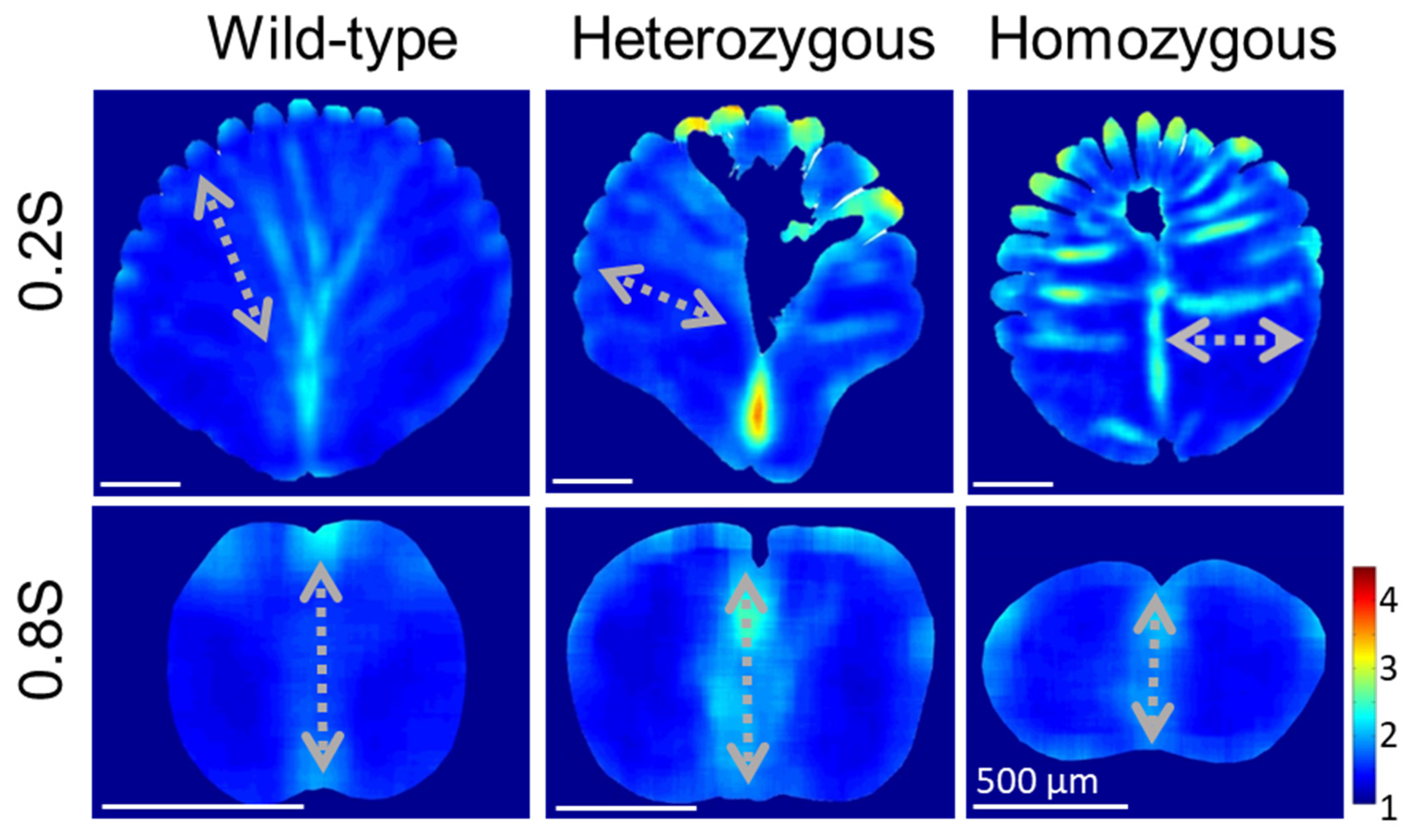 Biology 13 00464 g007 Biology 13 00464 g007