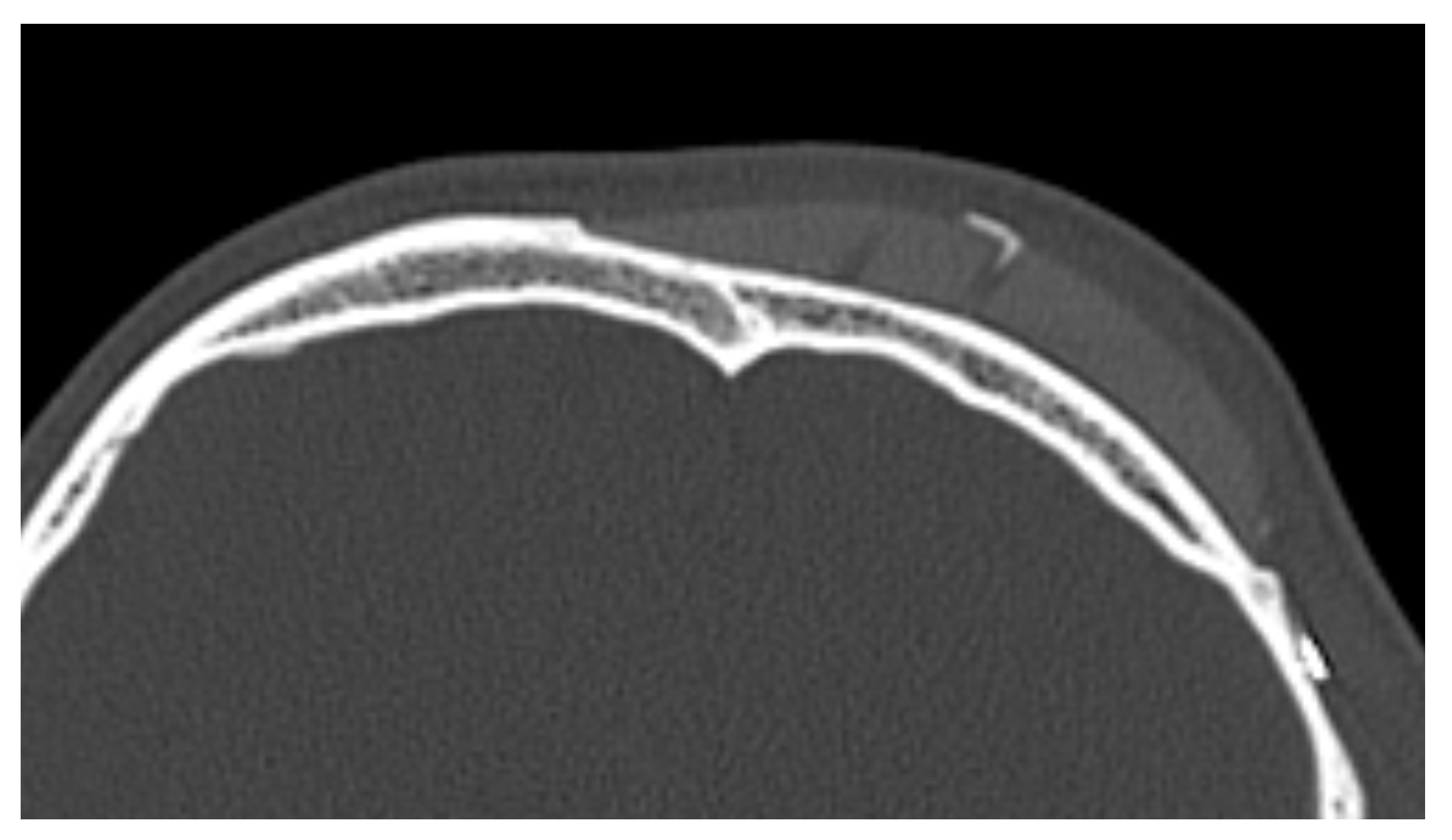 Biology 13 00467 g001
