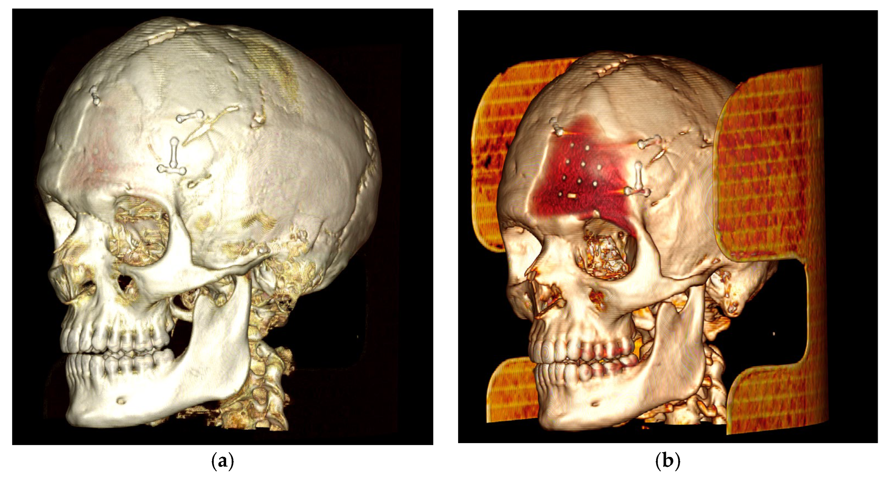 Biology 13 00467 g002