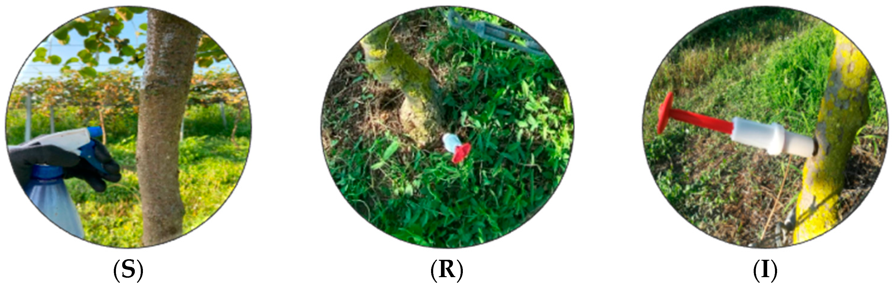 Biology 13 00470 g001