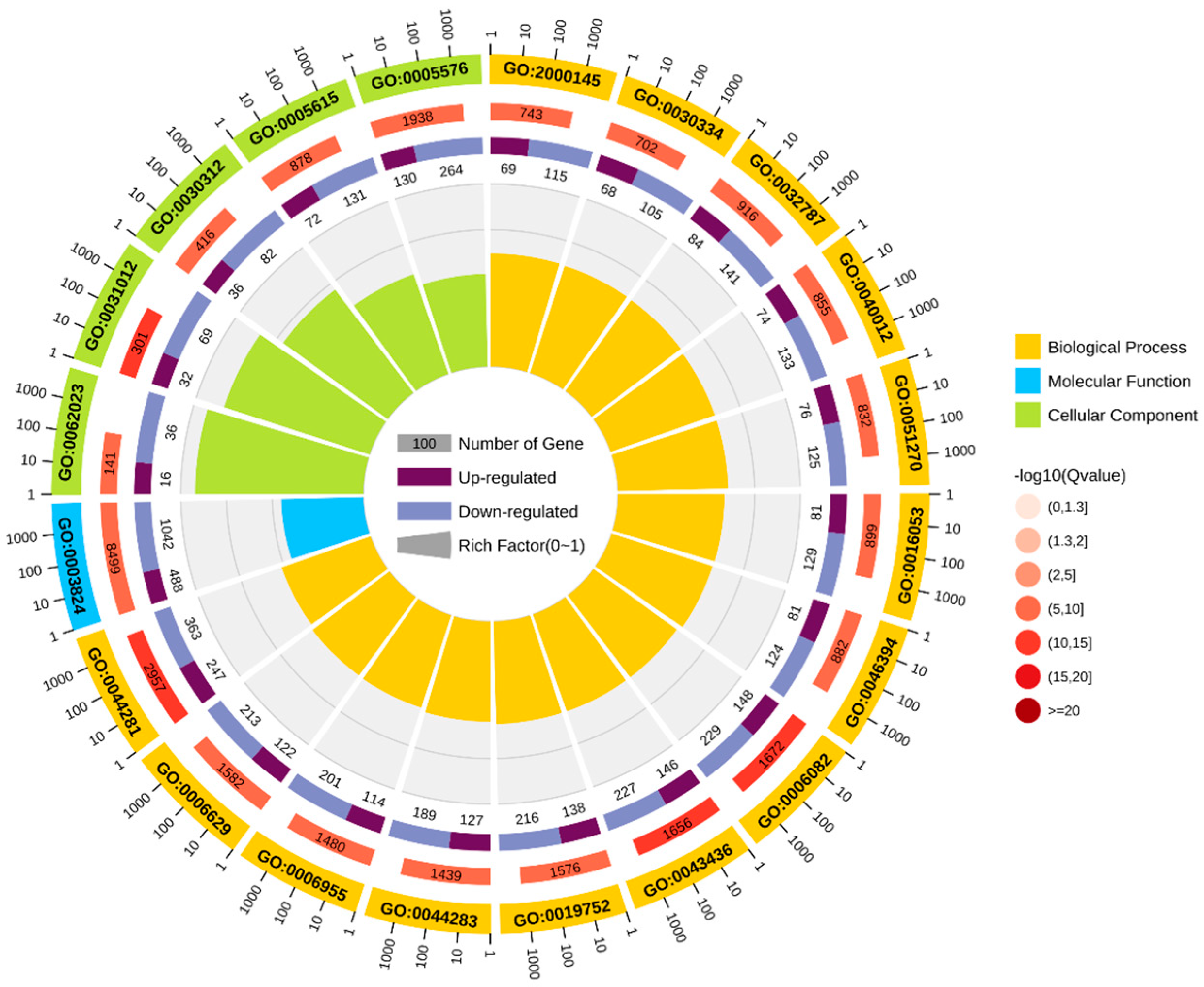 Biology 13 00476 g005