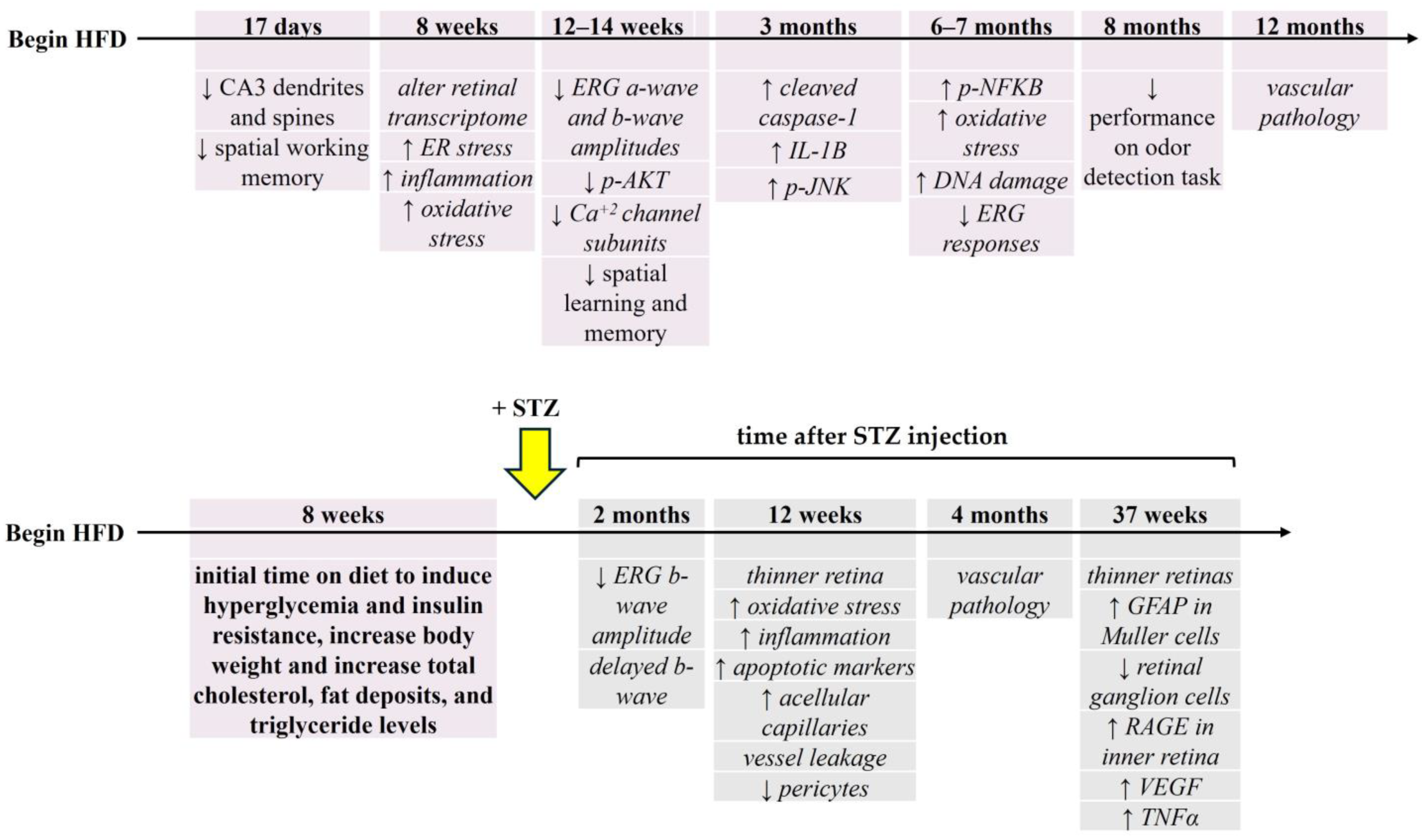 Biology 13 00477 g004