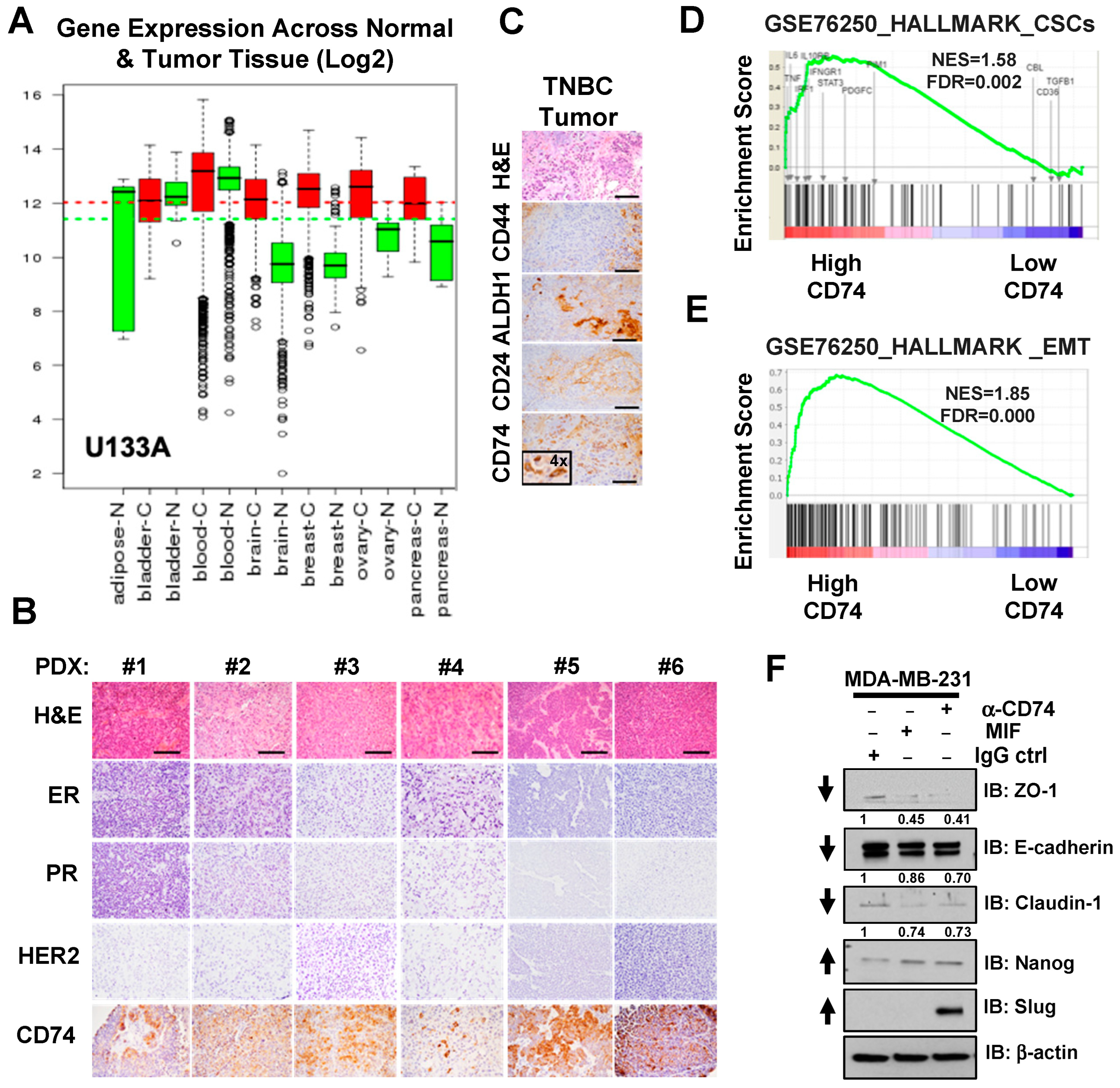 Biology 13 00481 g003