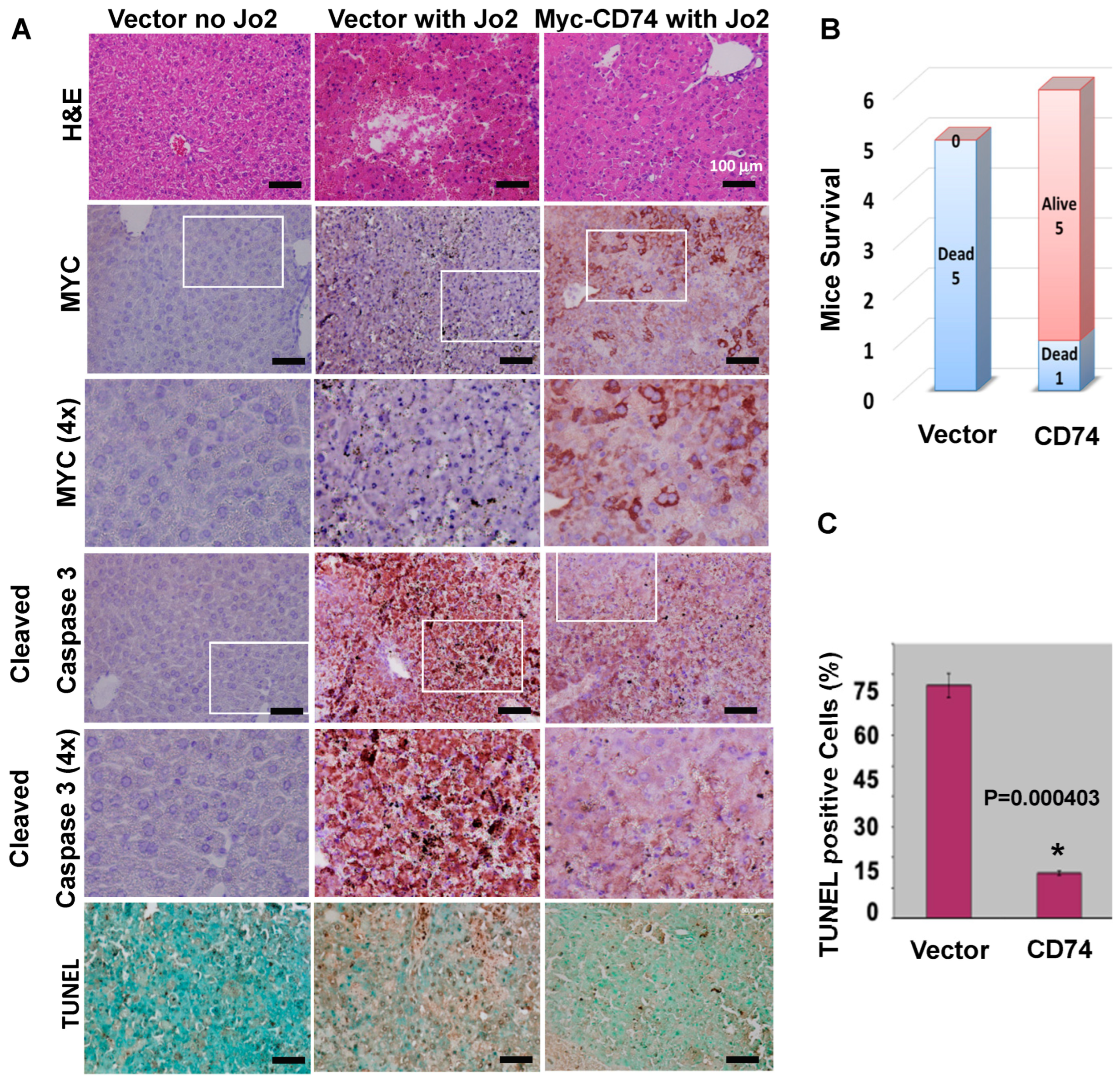 Biology 13 00481 g005