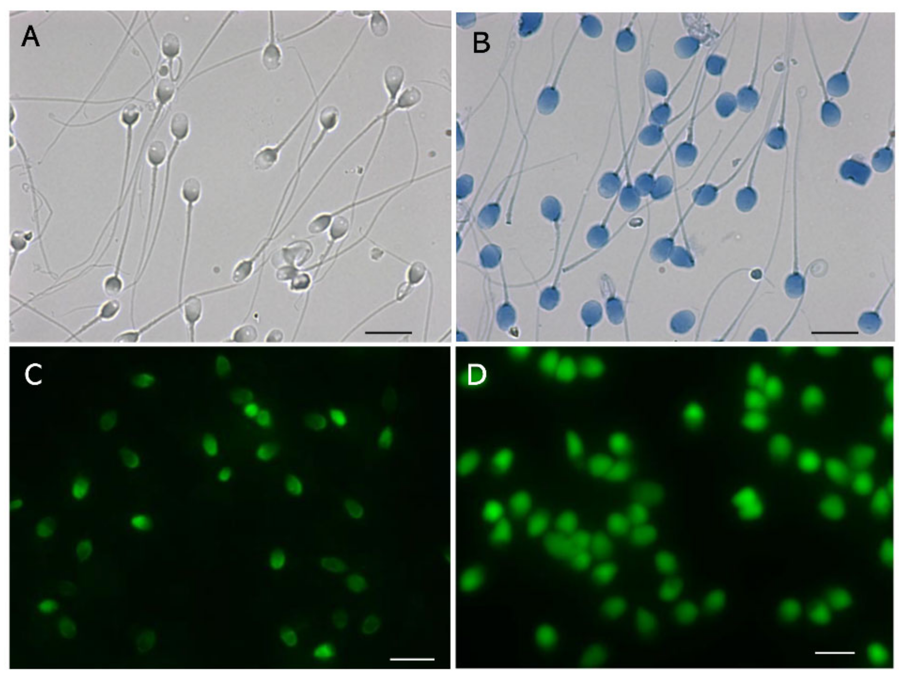 Biology 13 00484 g002
