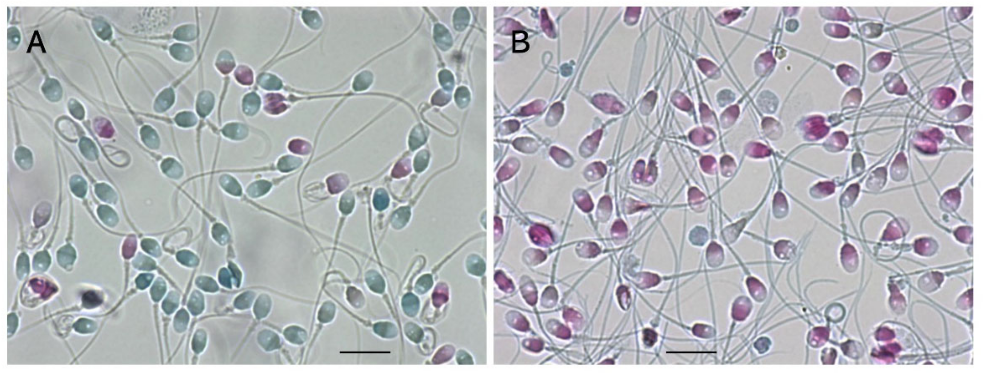 Biology 13 00484 g004