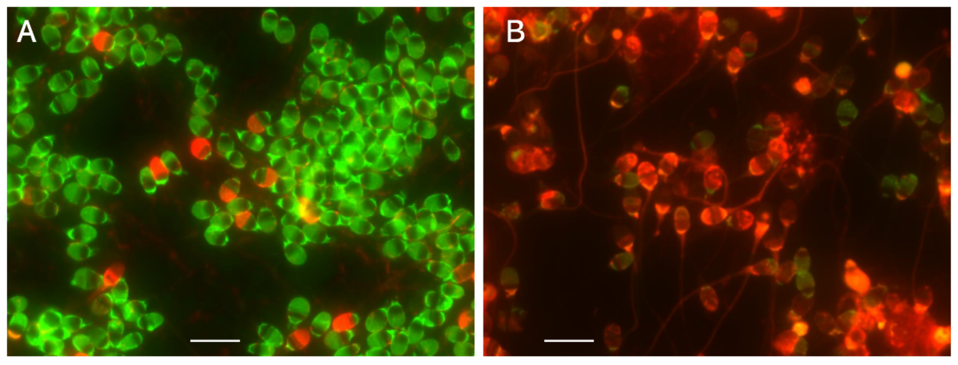 Biology 13 00484 g005