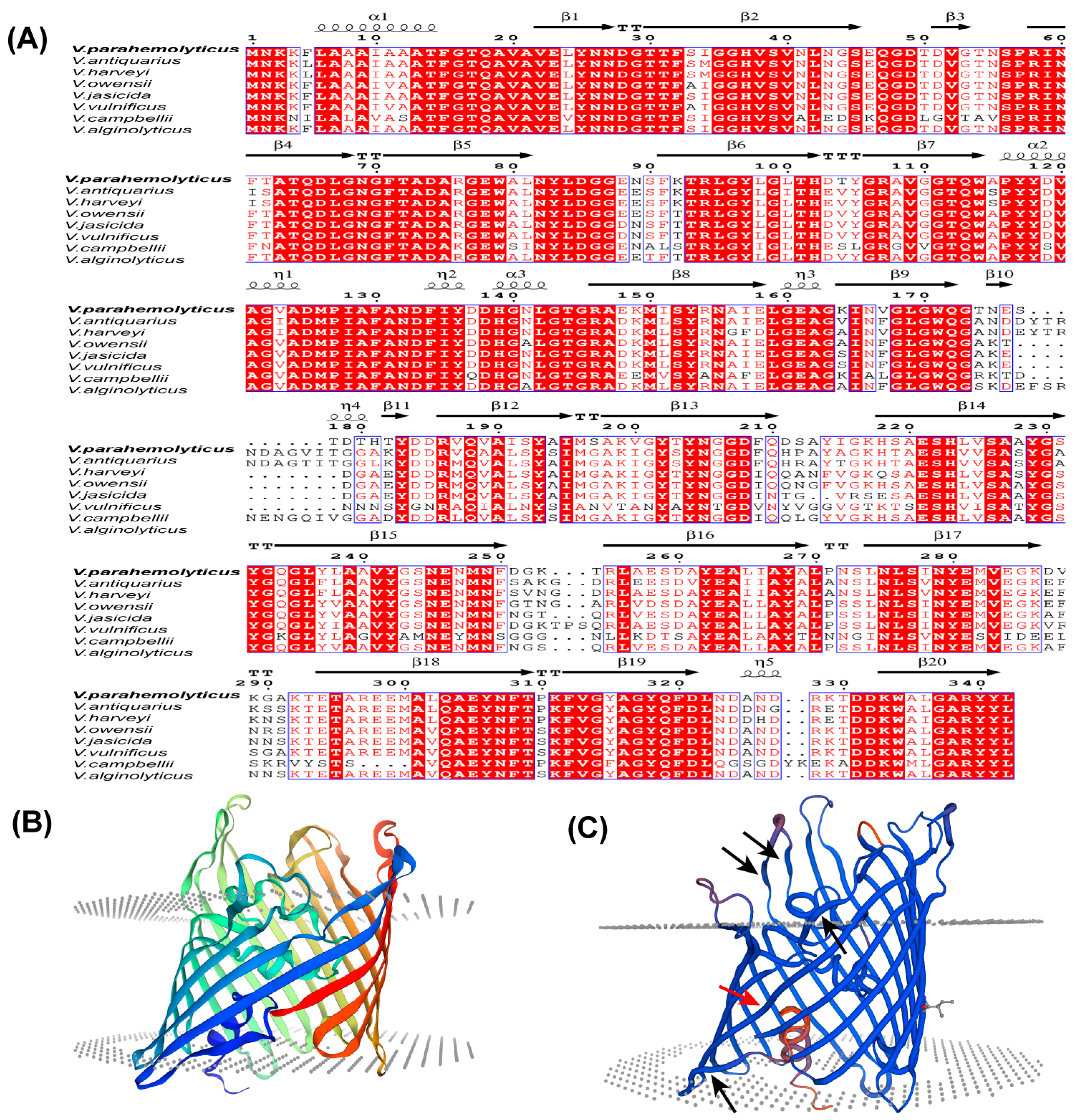 Biology 13 00485 g001