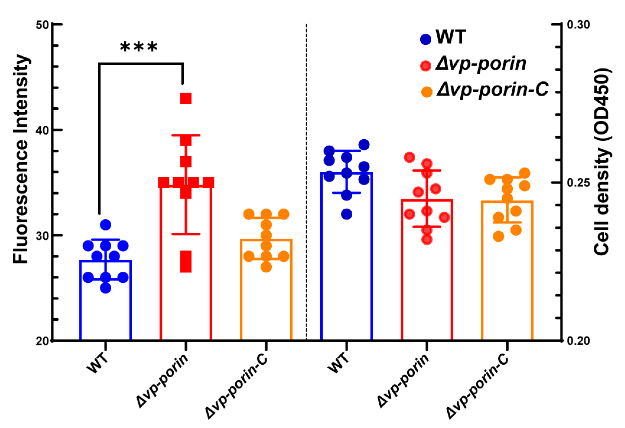 Biology 13 00485 g003