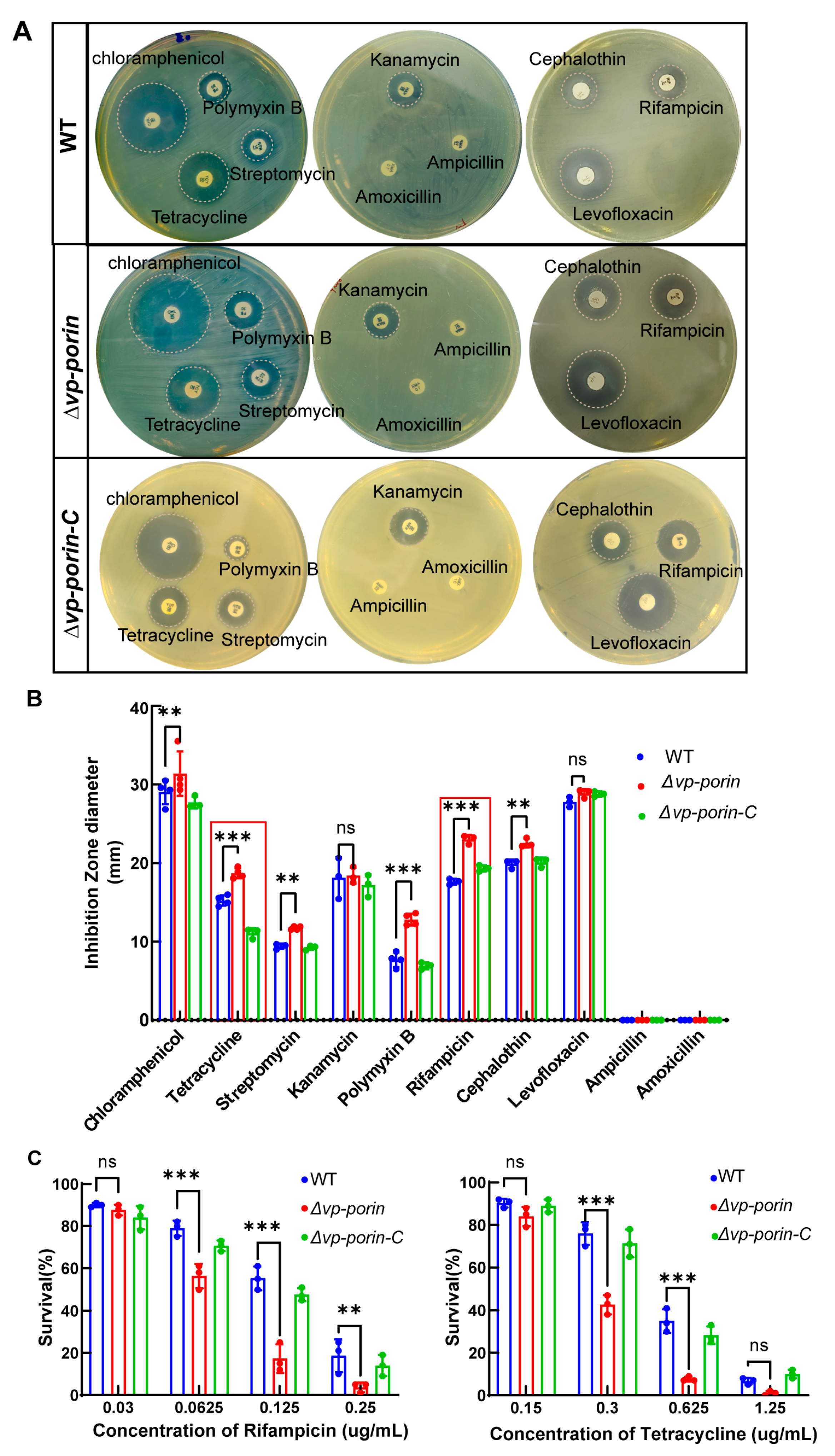Biology 13 00485 g004