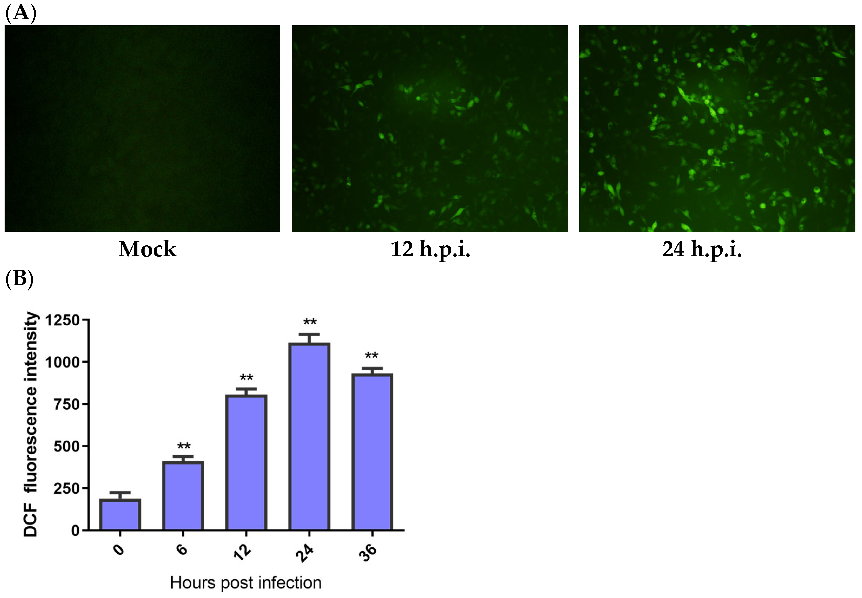 Biology 13 00491 g001