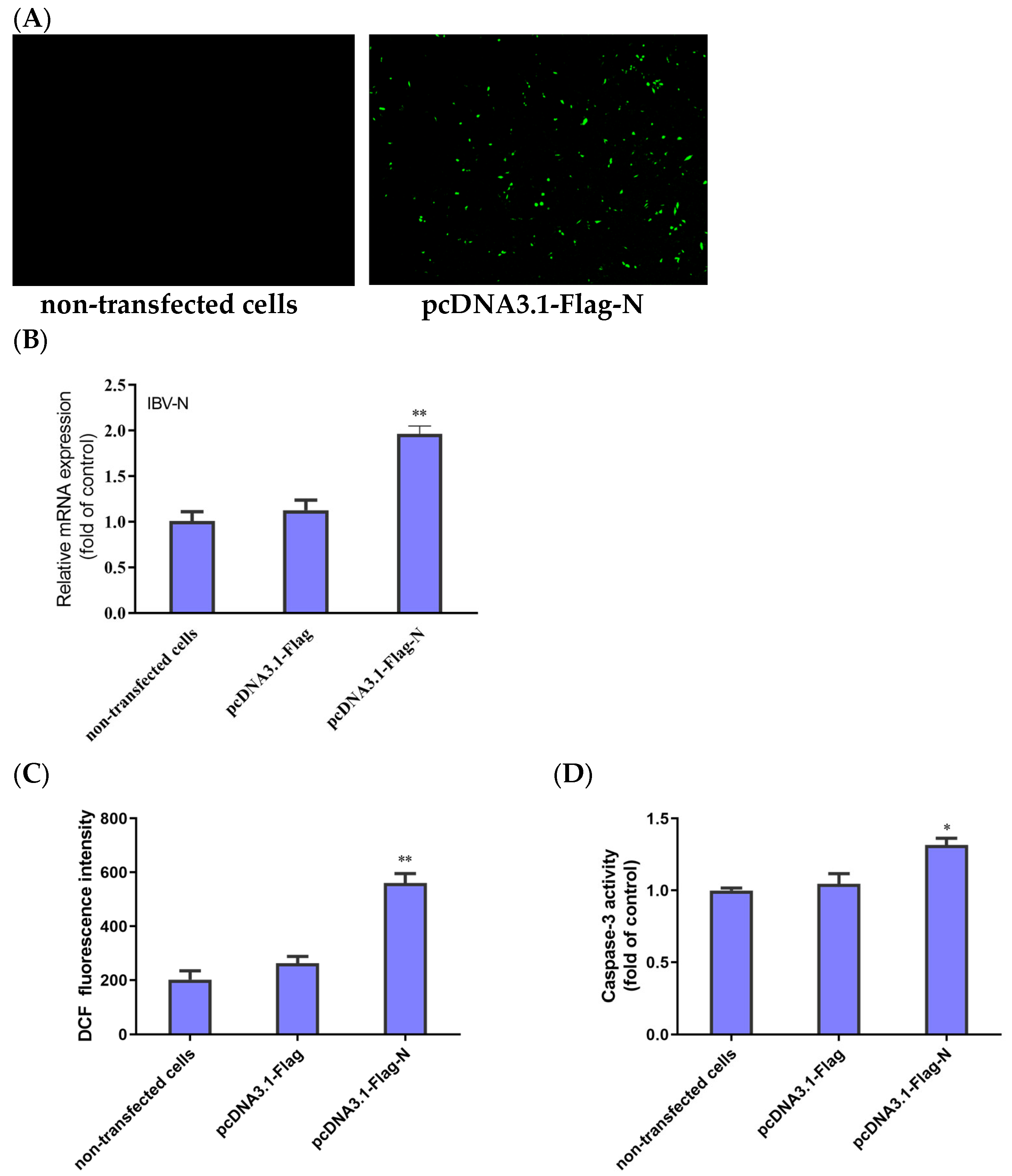 Biology 13 00491 g005