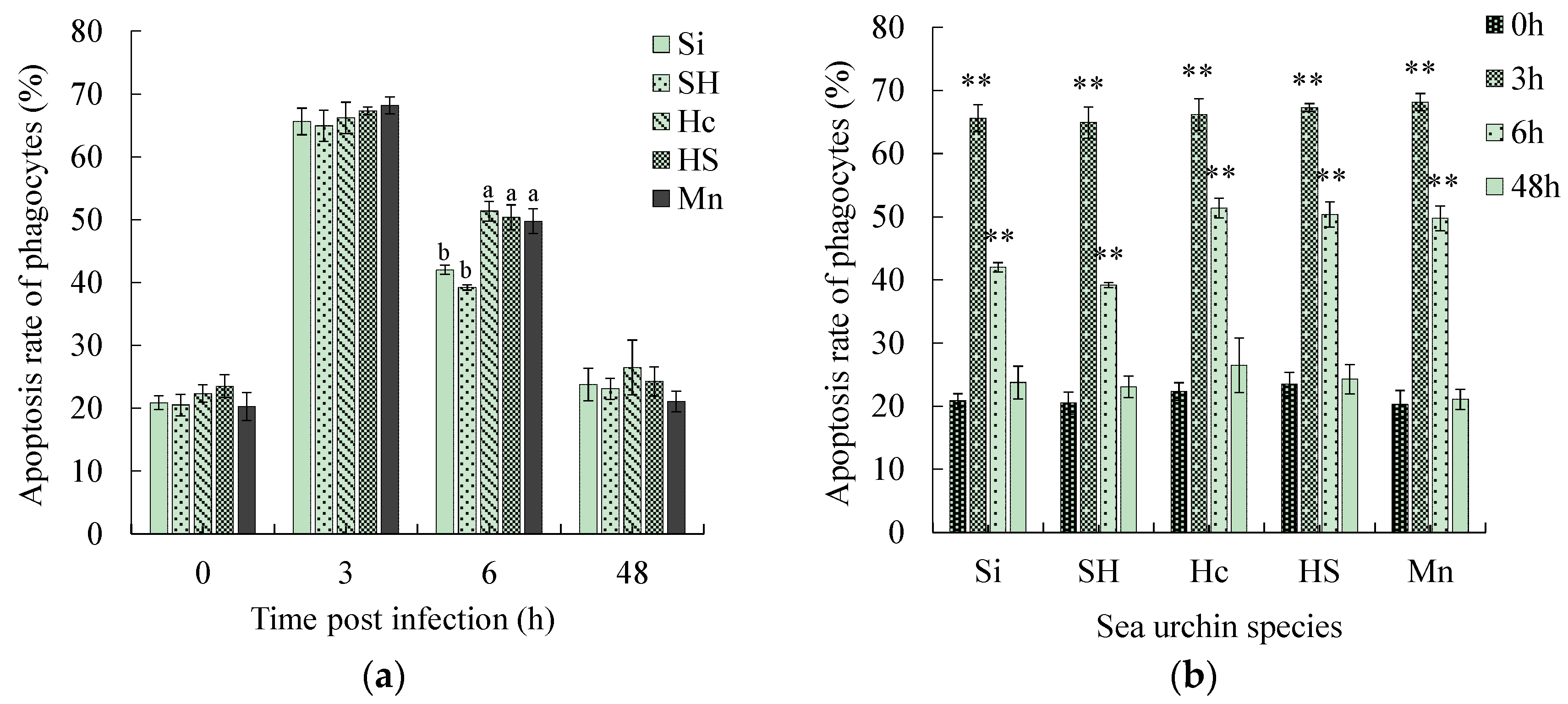 Biology 13 00495 g002a