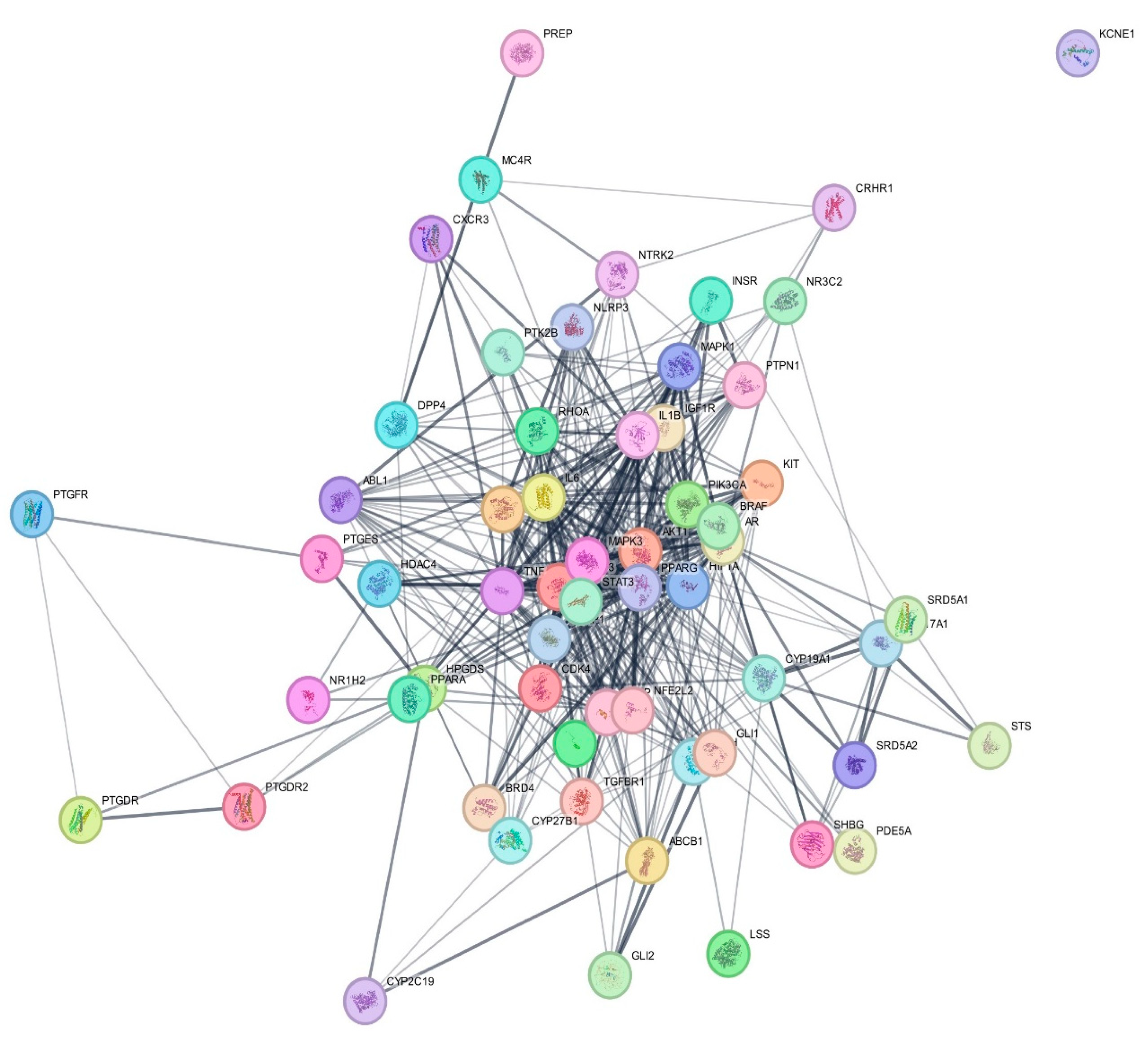 Biology 13 00497 g002