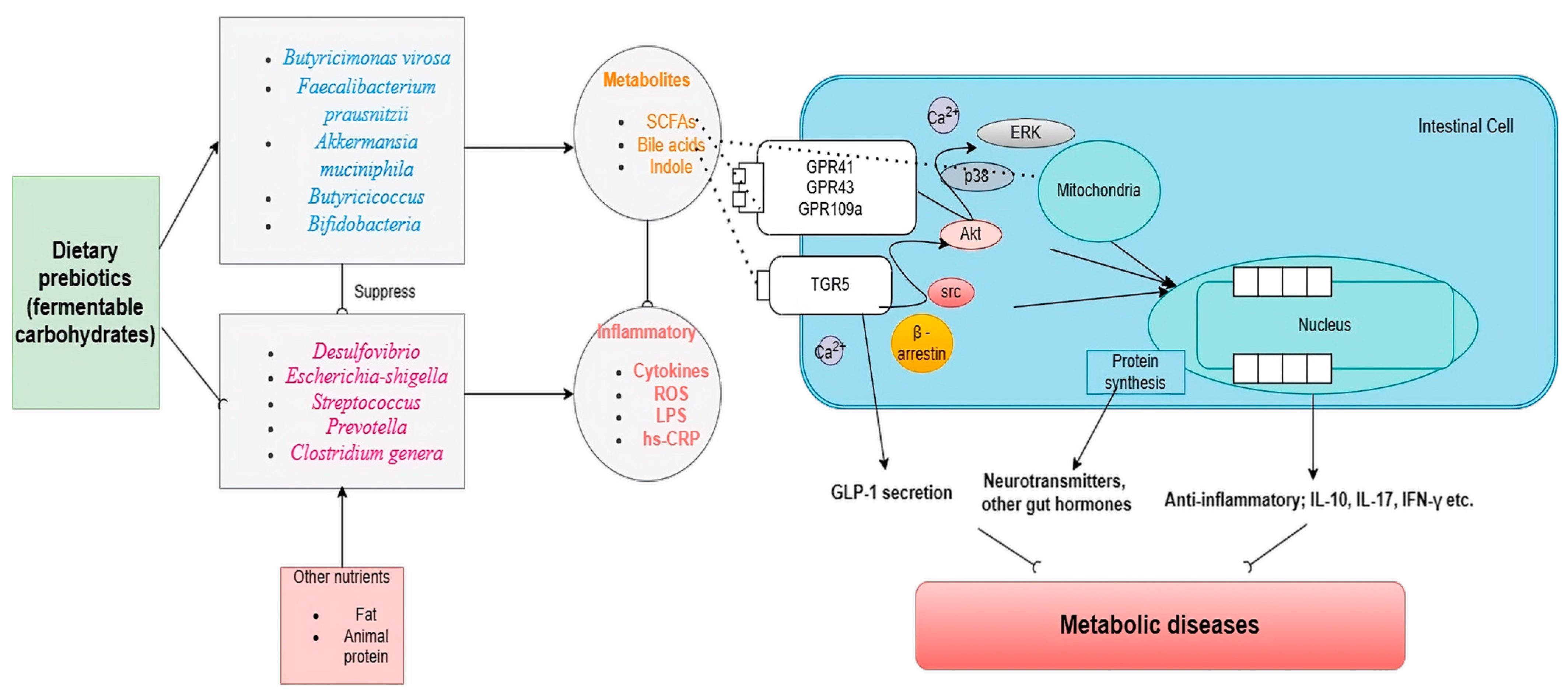 Biology 13 00498 g001