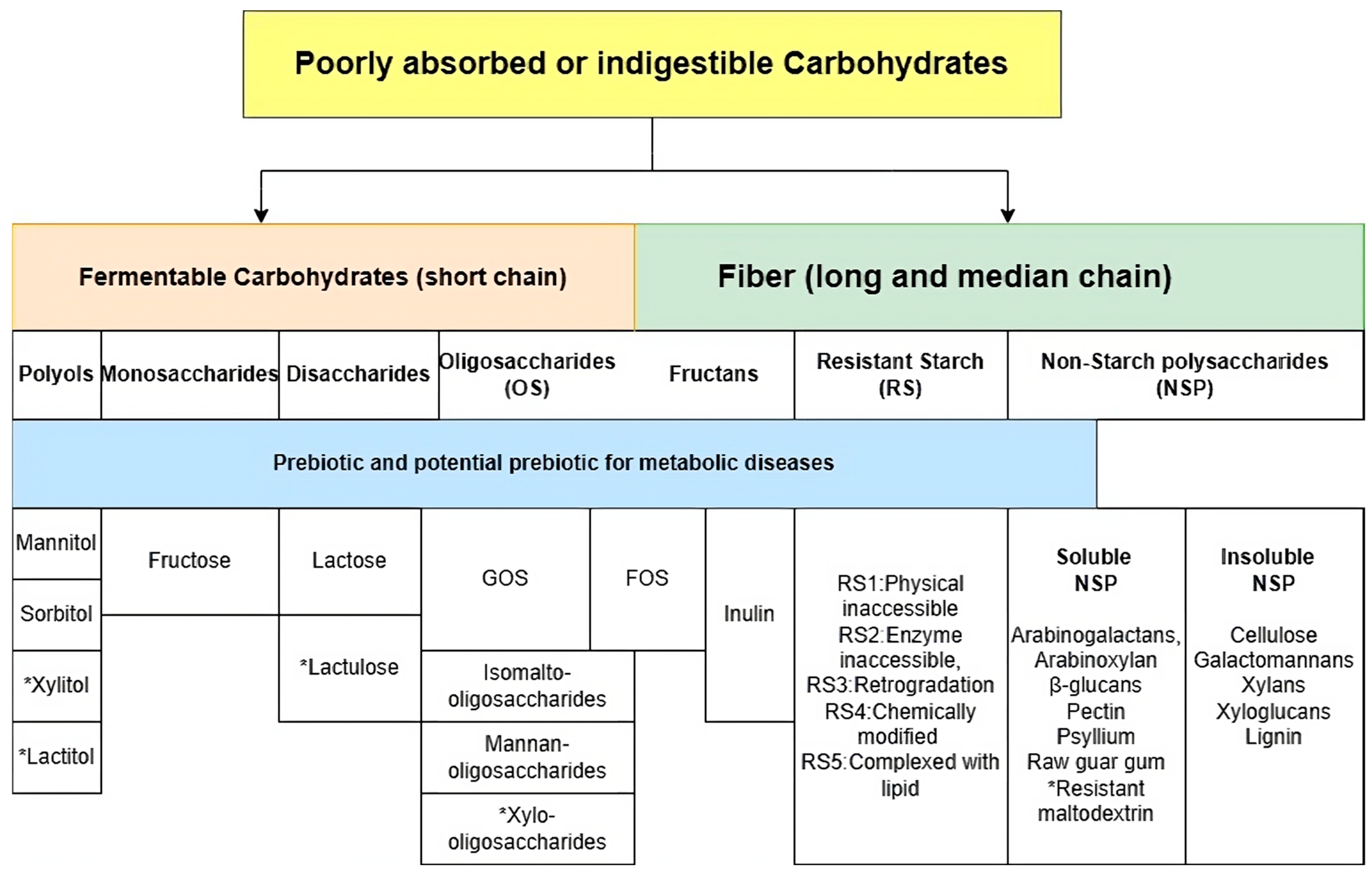 Biology 13 00498 g002