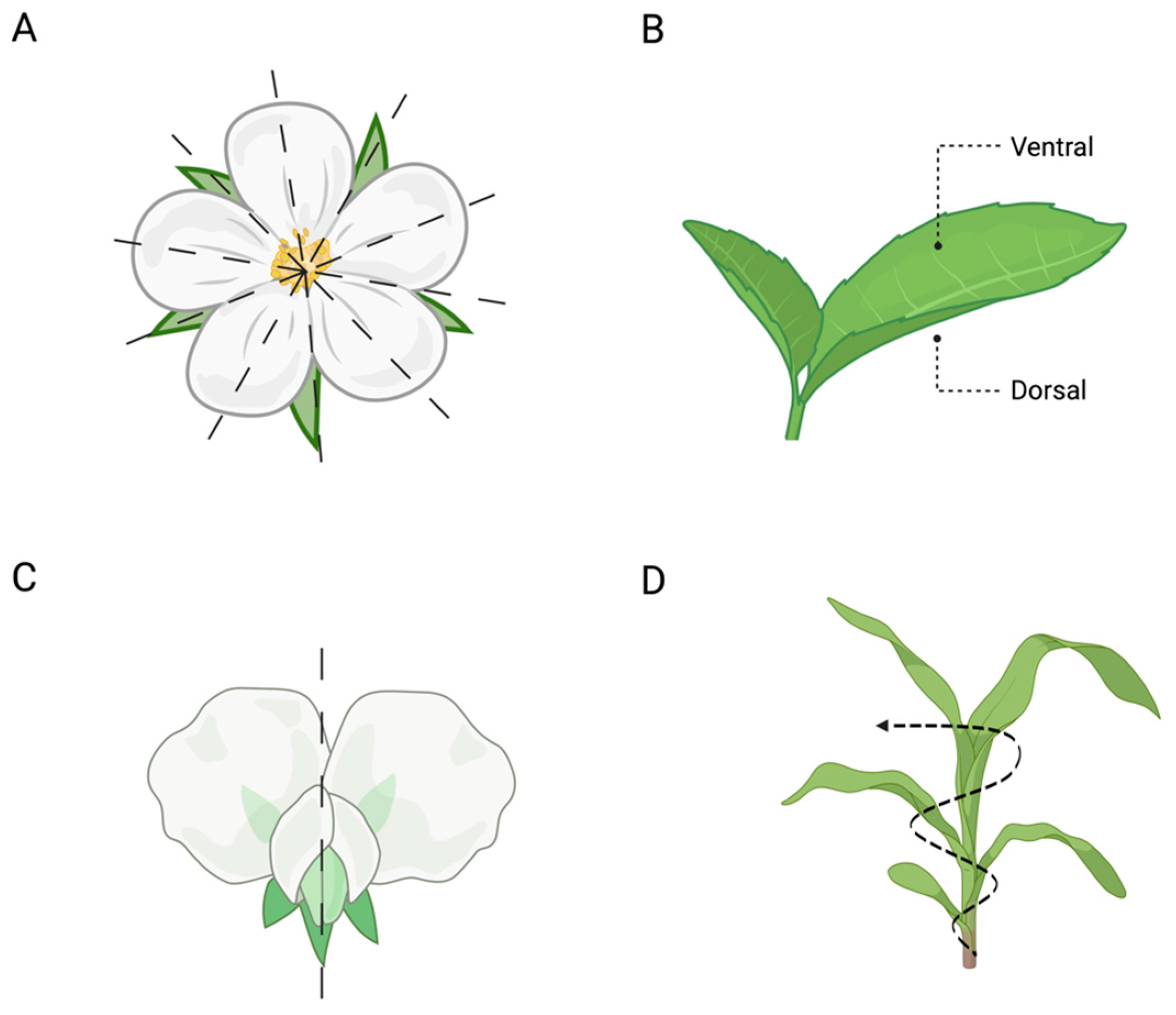 Biology 13 00502 g003