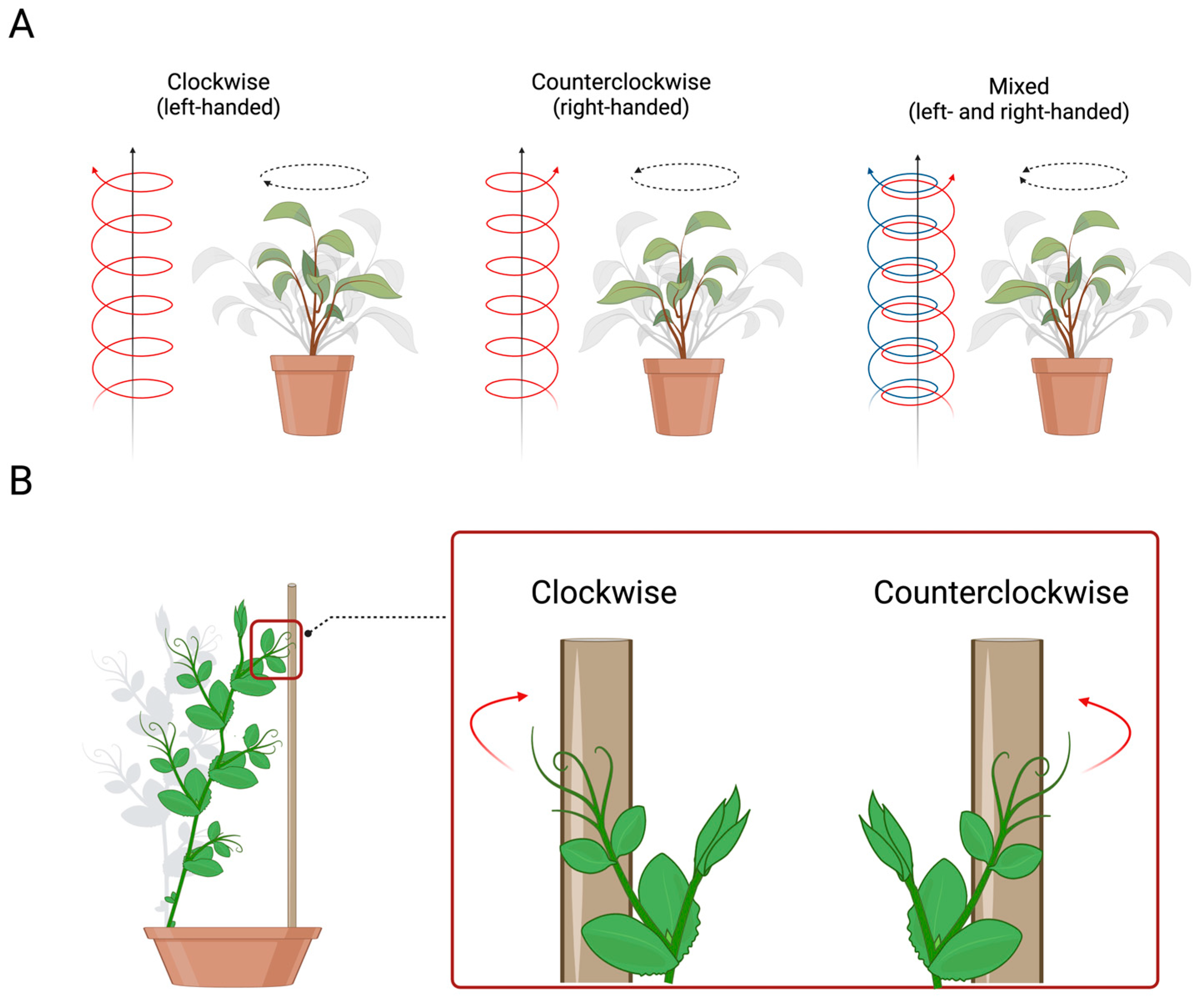 Biology 13 00502 g004