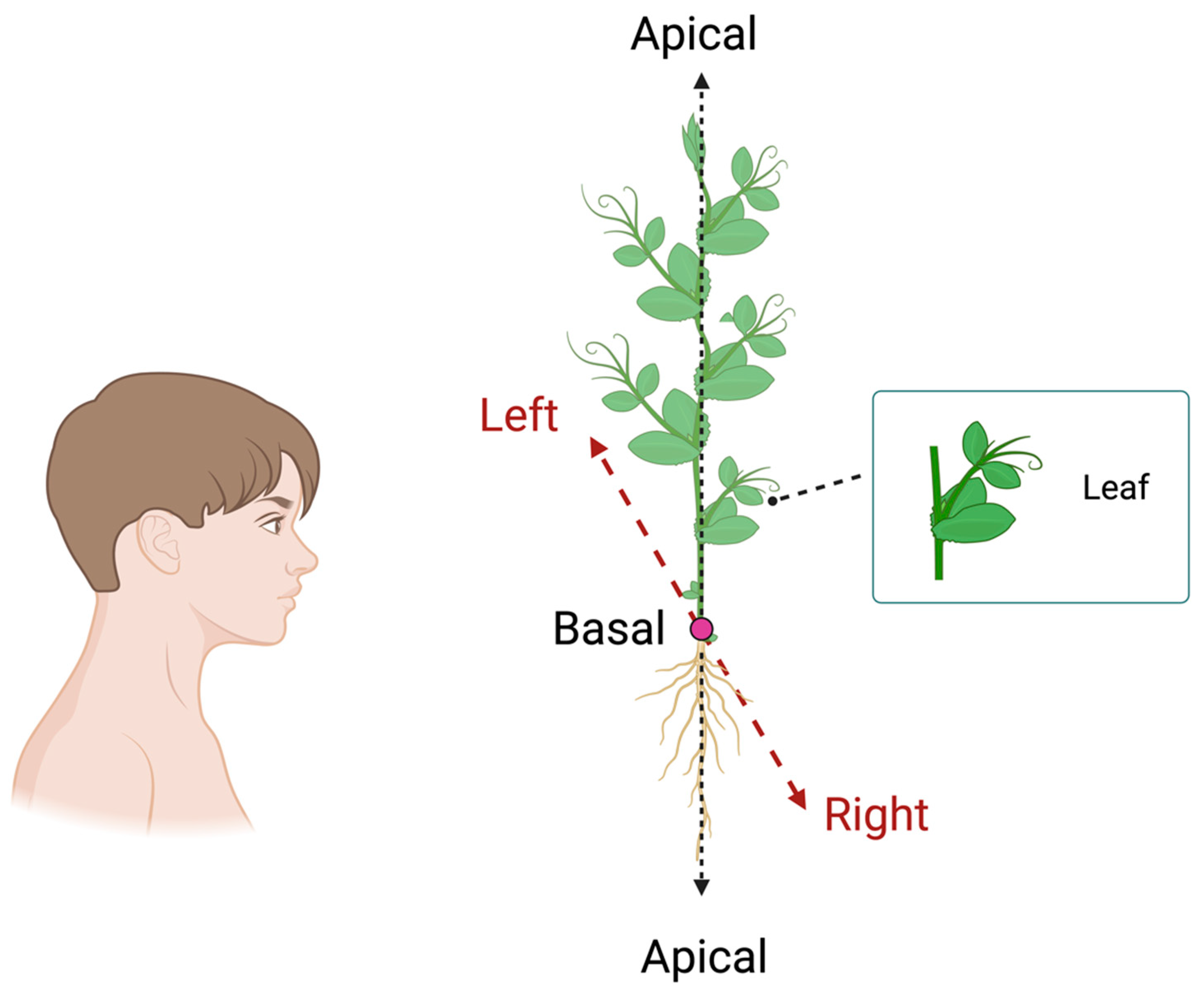 Biology 13 00502 g006