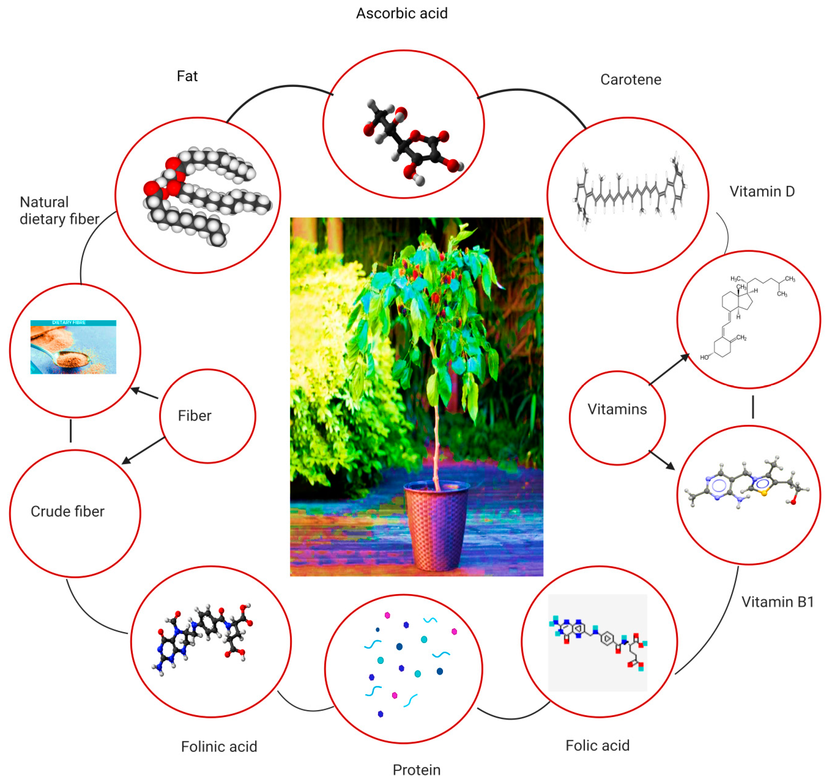 Biology 13 00506 g003