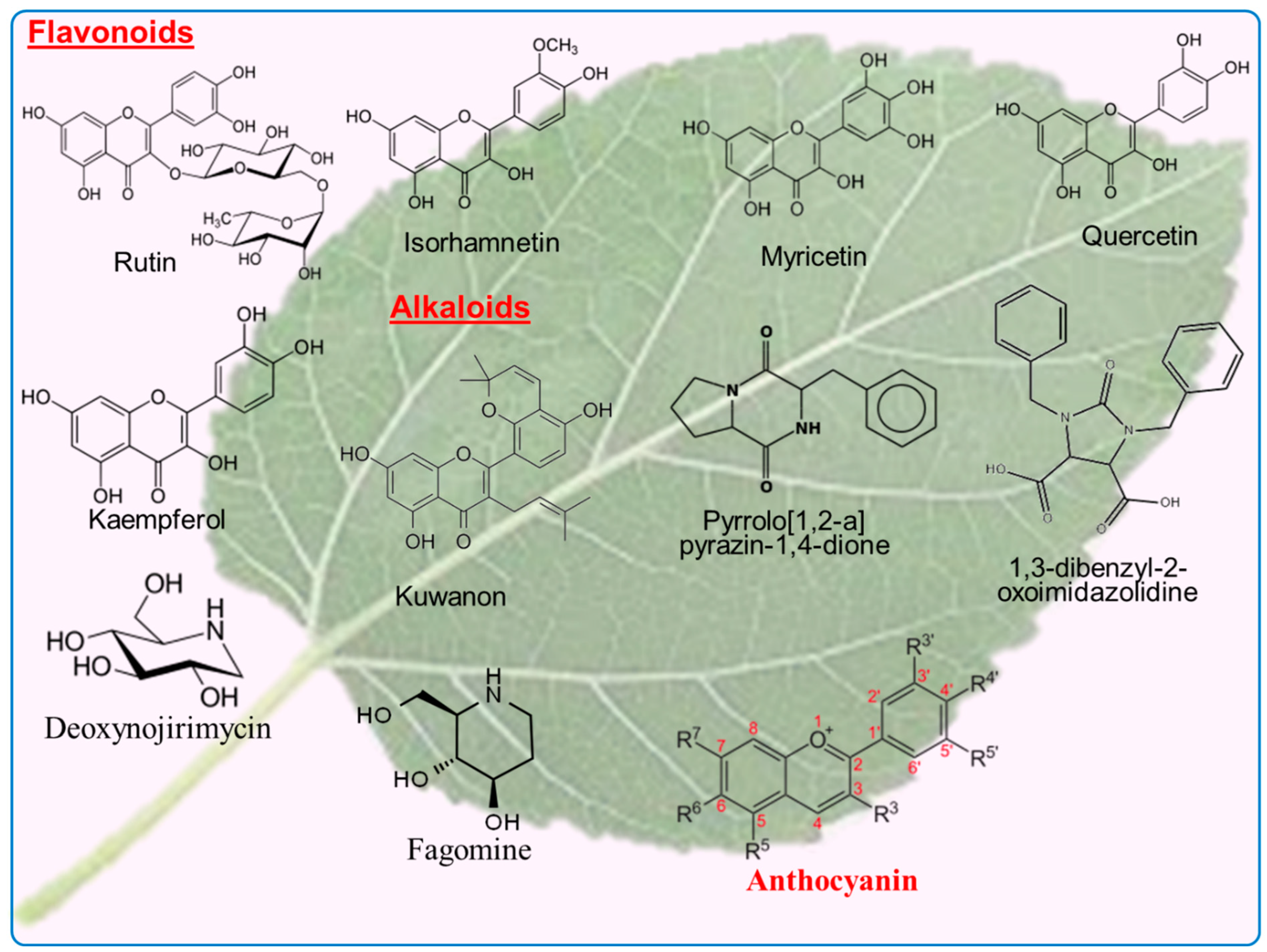 Biology 13 00506 g004