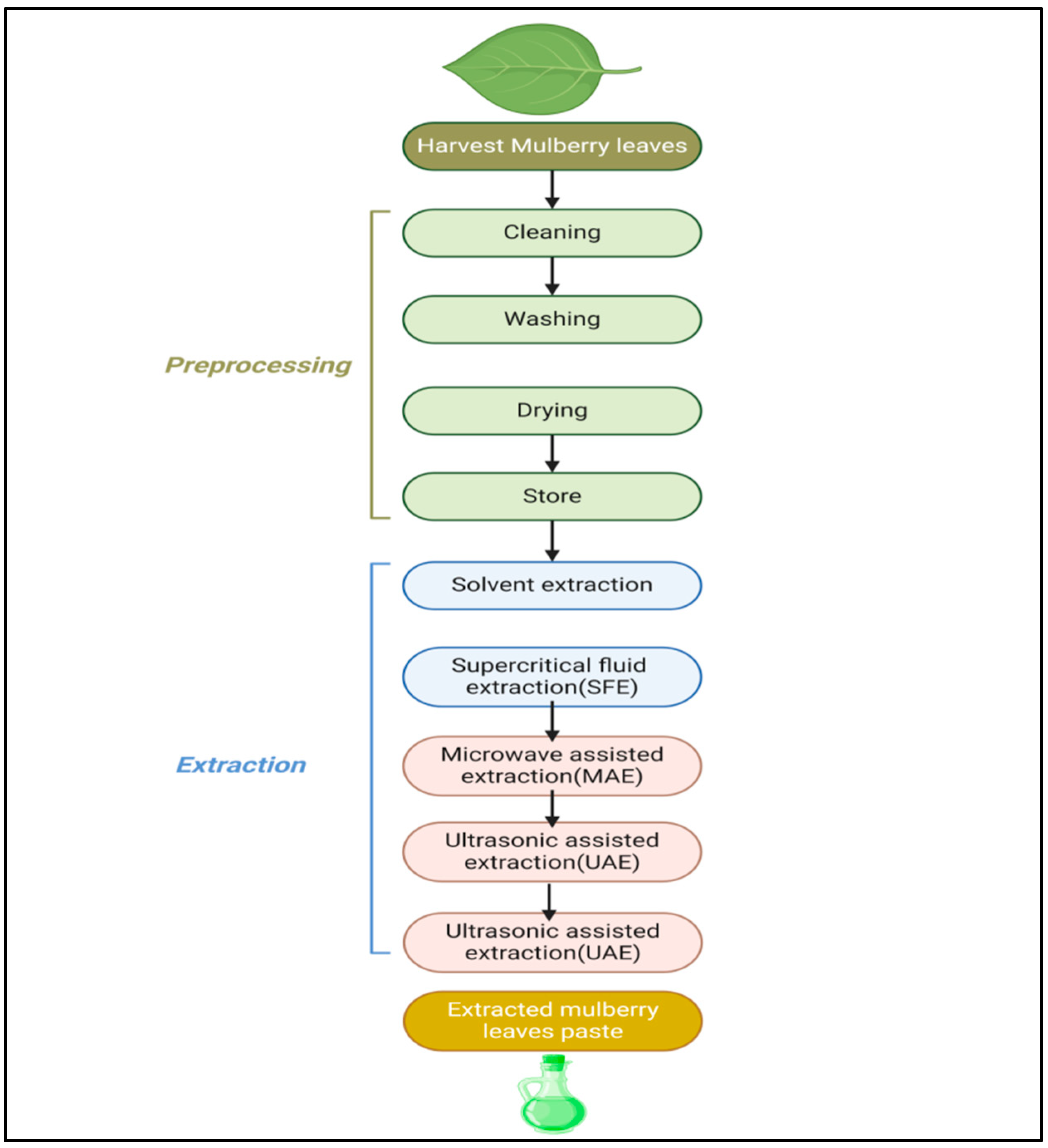Biology 13 00506 g009